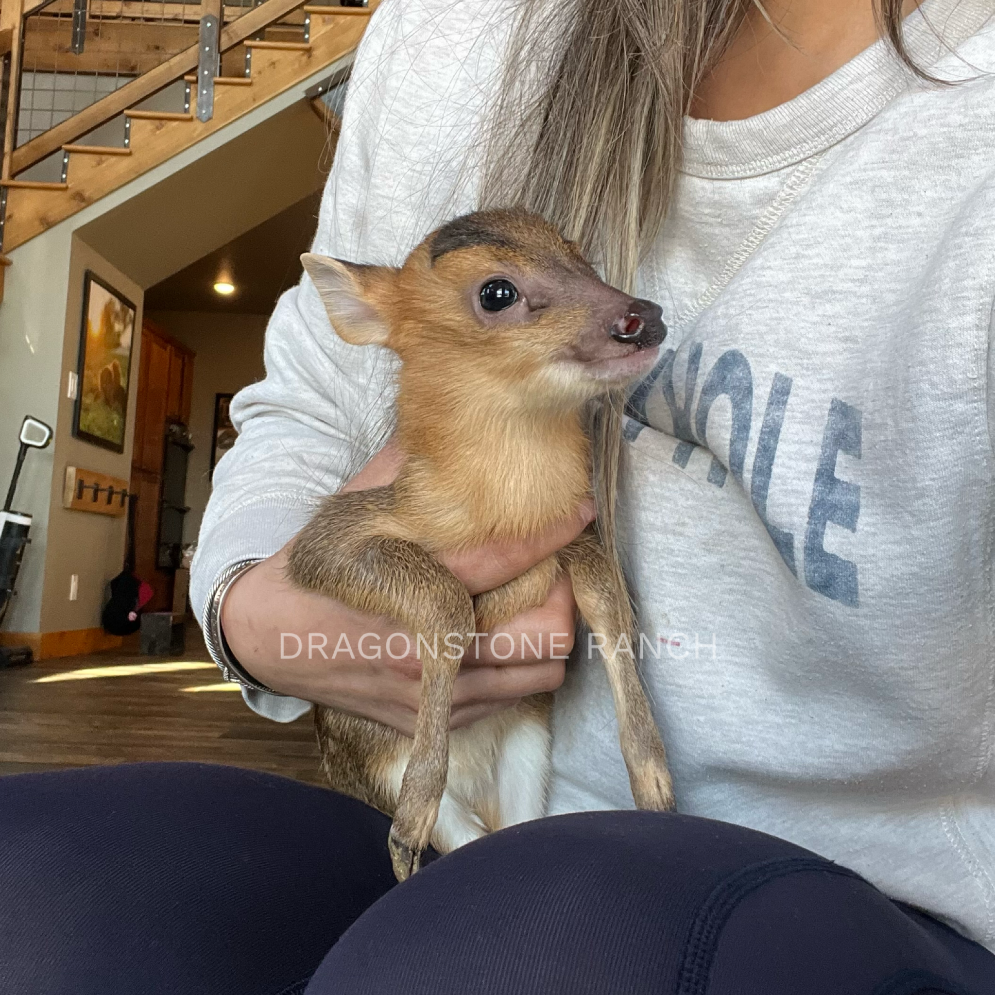 4CE6CE90-07D7-48DE-8BA1-0C89D61666CB