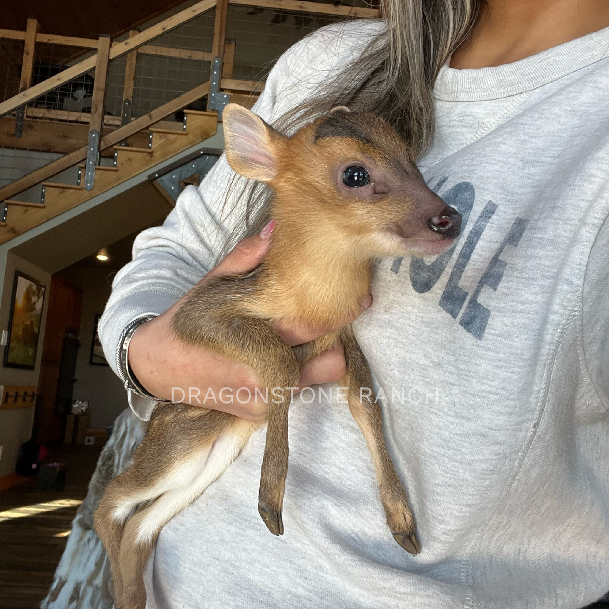 7D13F9B5-2FD1-4119-8903-71B0FE02EC4E