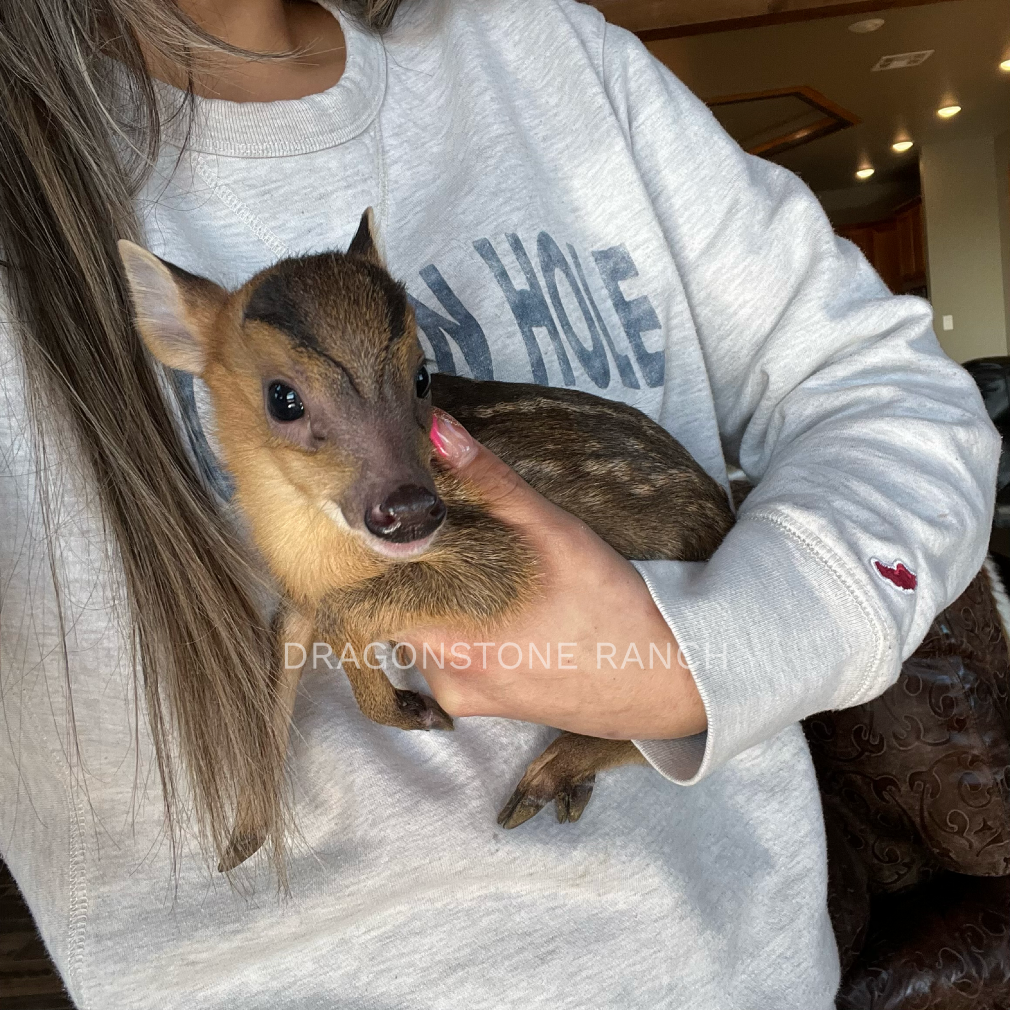 AC76881A-D380-4DEA-A6D5-E49A9FF51288