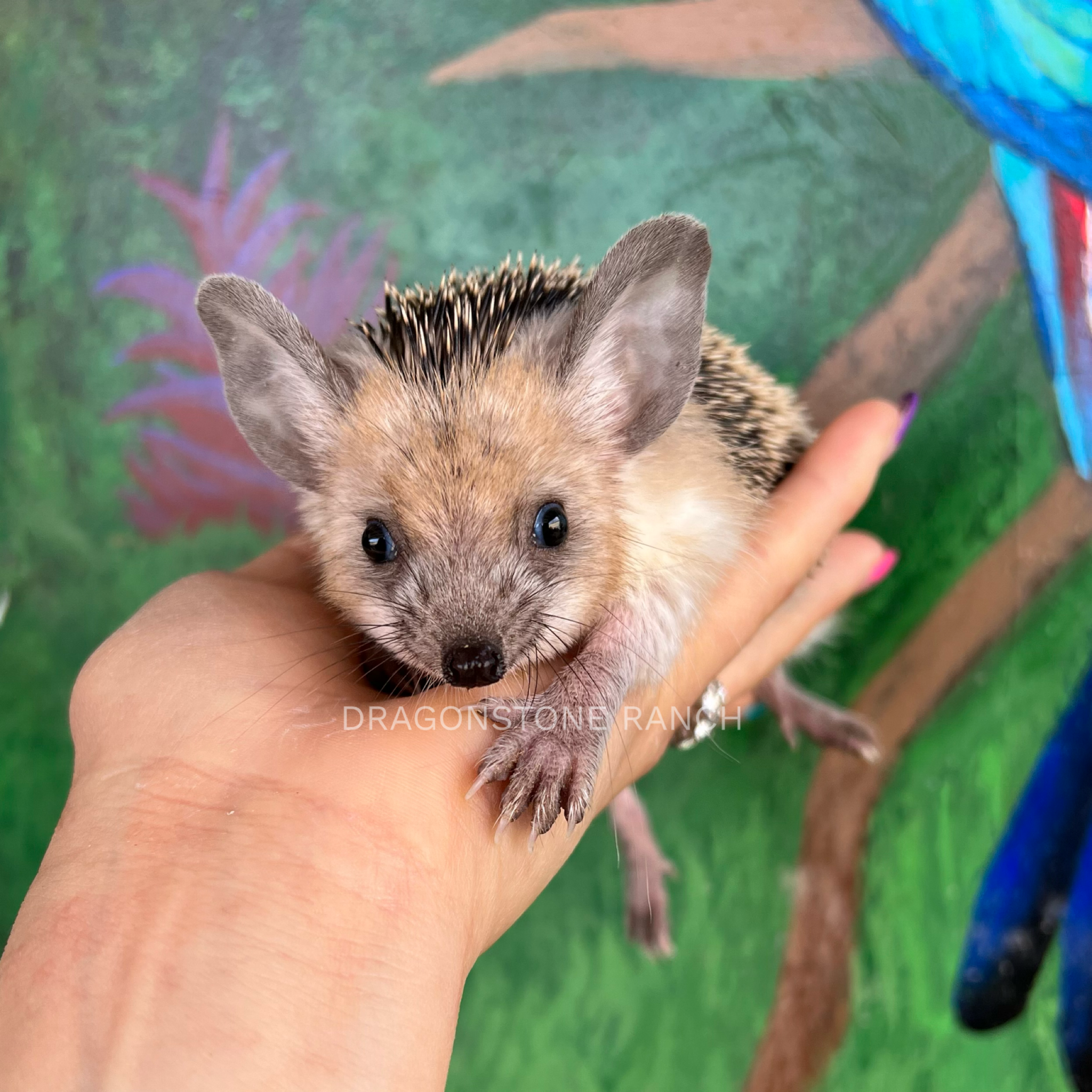 FD65236F-DF20-40C4-8951-08BFC4E2D3D3