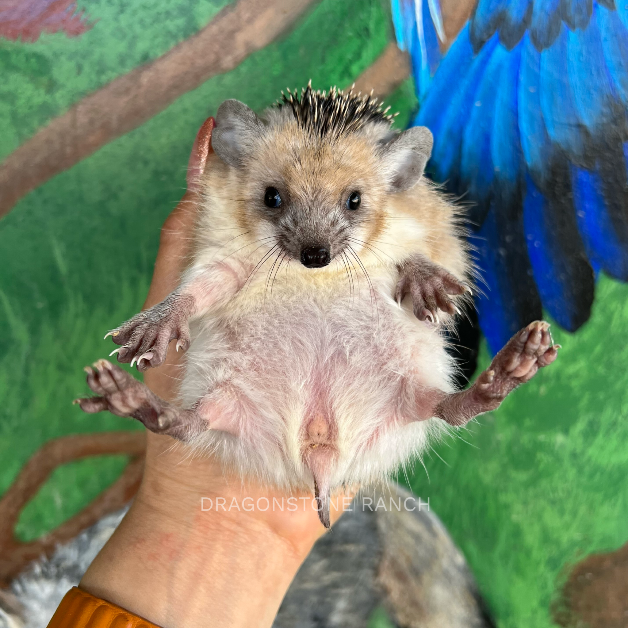 4C687755-533C-4E26-A1FA-8FC3DCDE8862