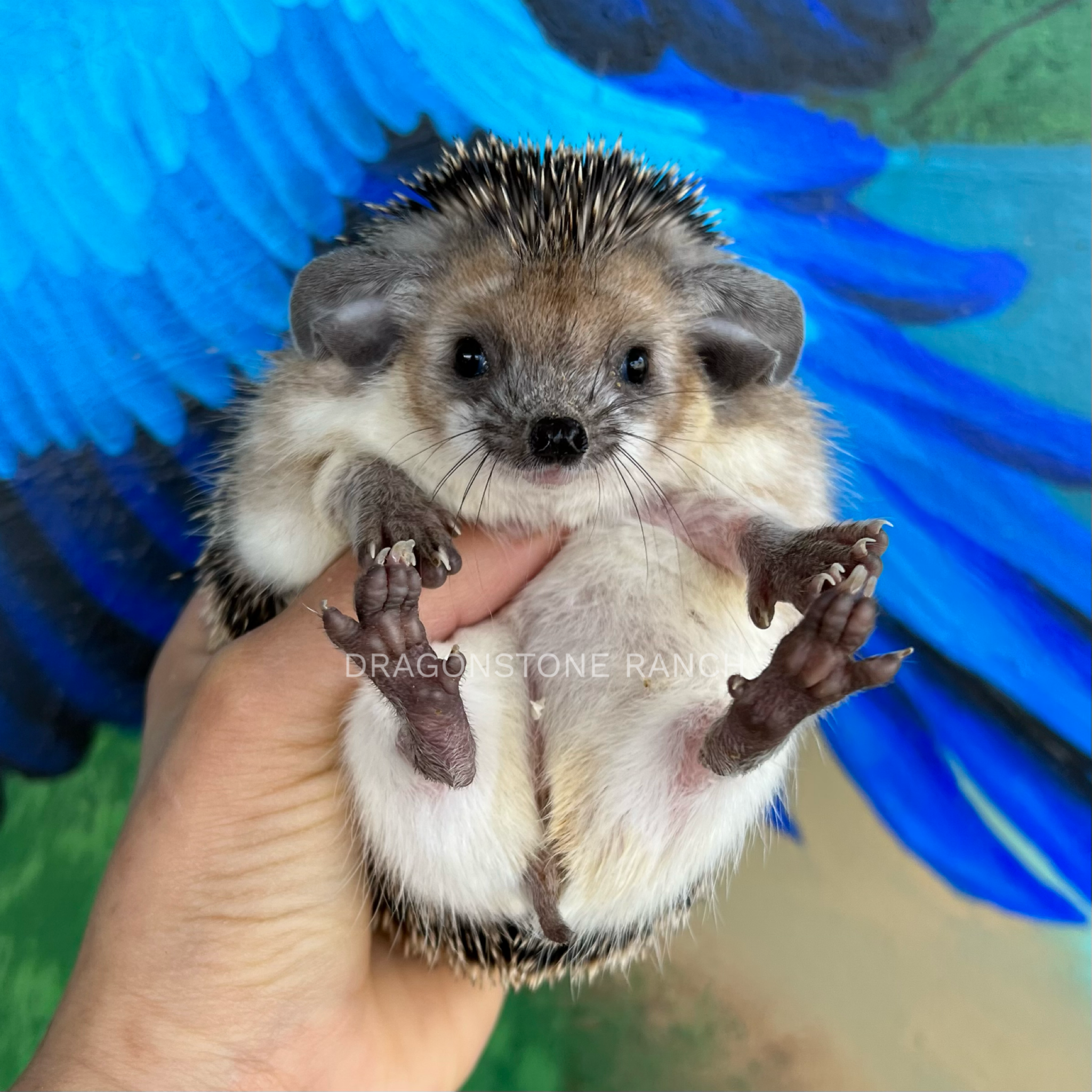 459D33BE-0ACB-4242-B63E-B902F85CEAA7