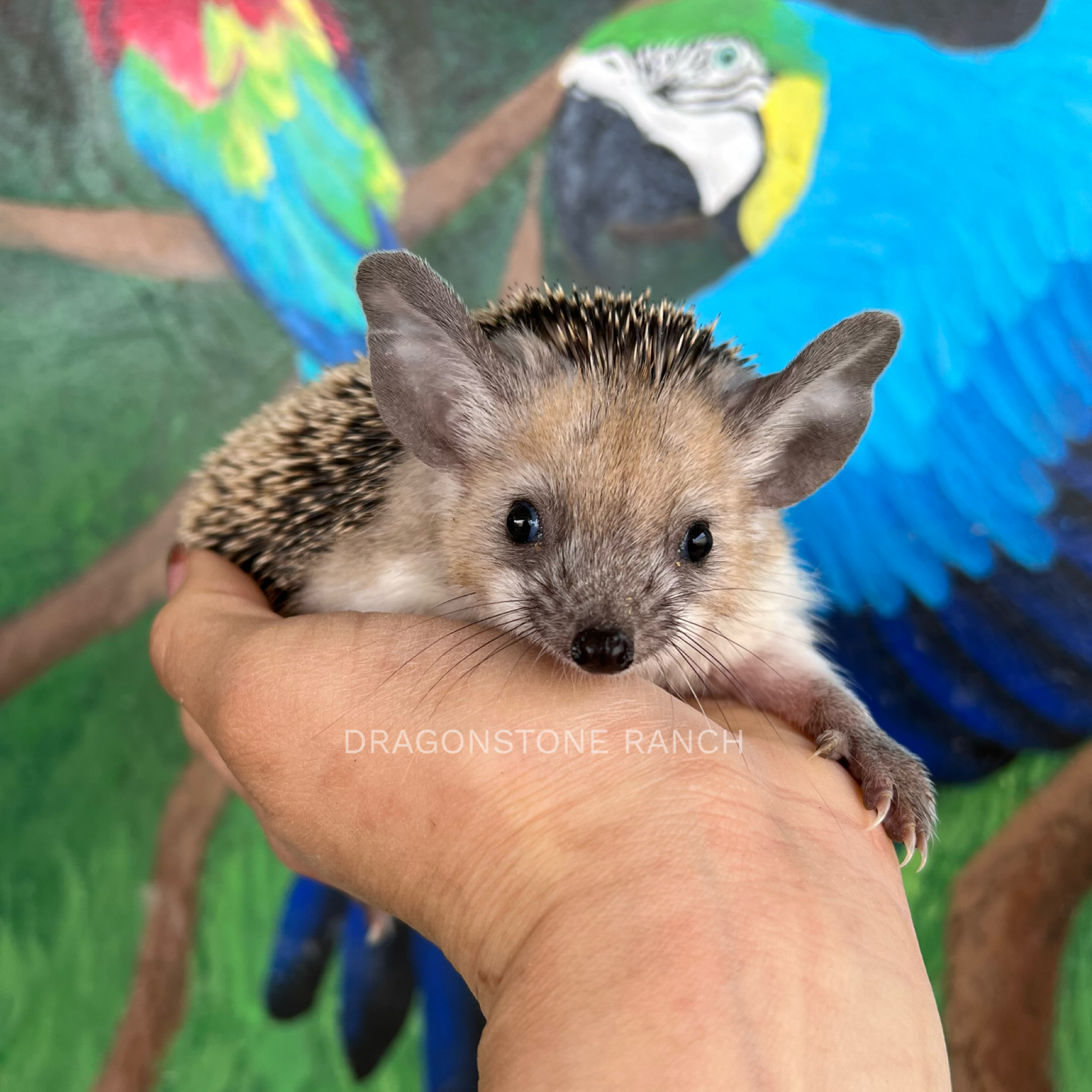 6141CD49-9A81-4945-BA1E-04AB2F17DB6B