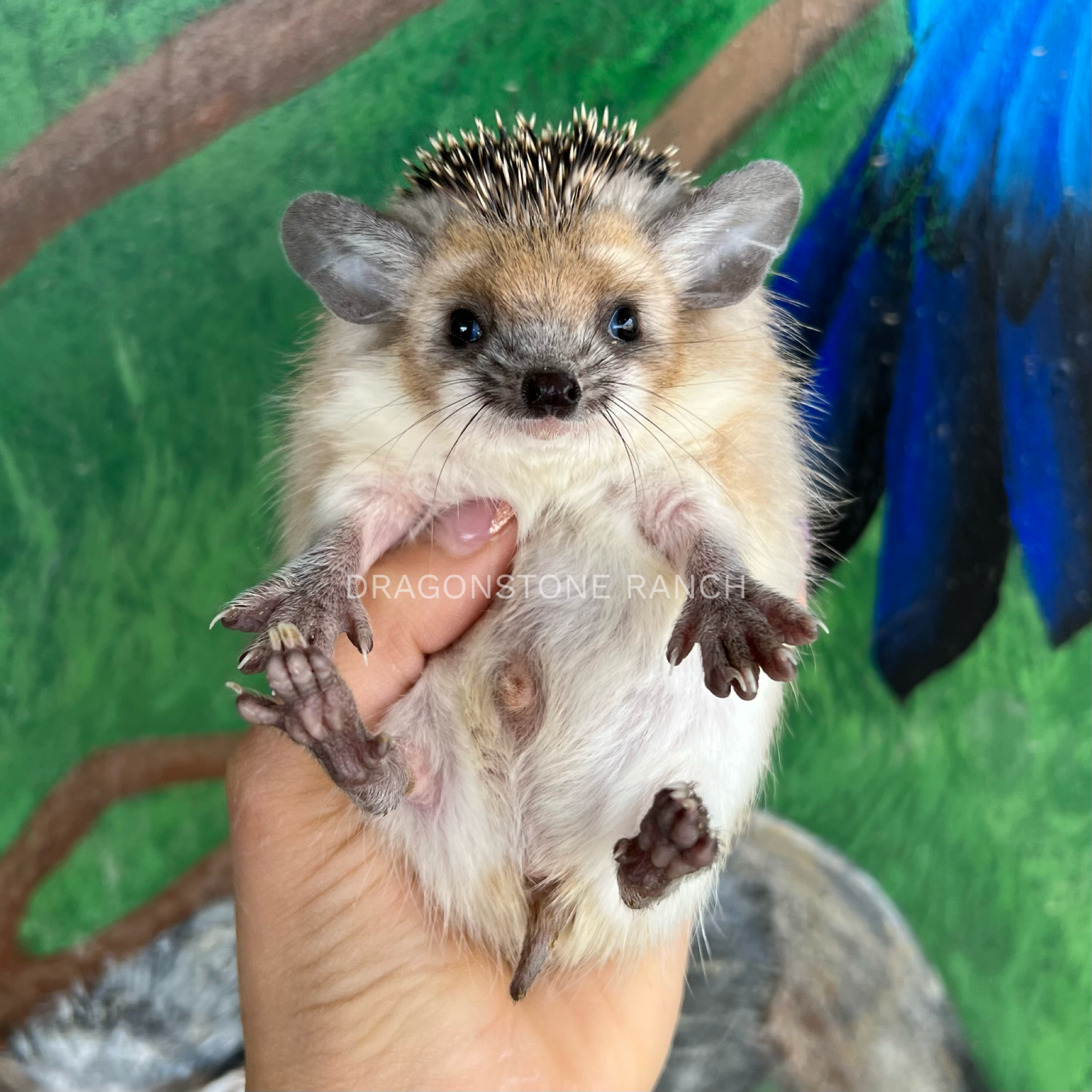 9B972CA9-7A10-4E4A-971E-C2978509933A