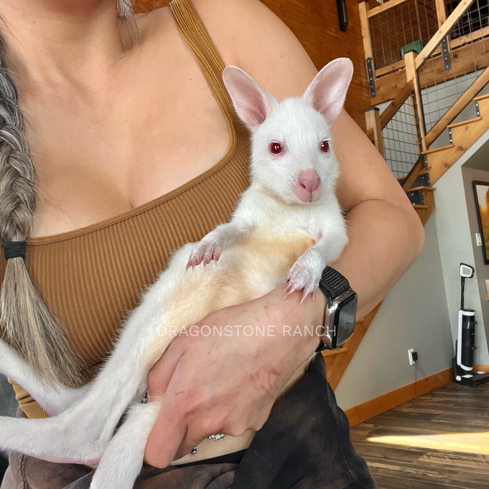 F01041E8-0D0C-458D-8B5E-A85B1D35FDA9