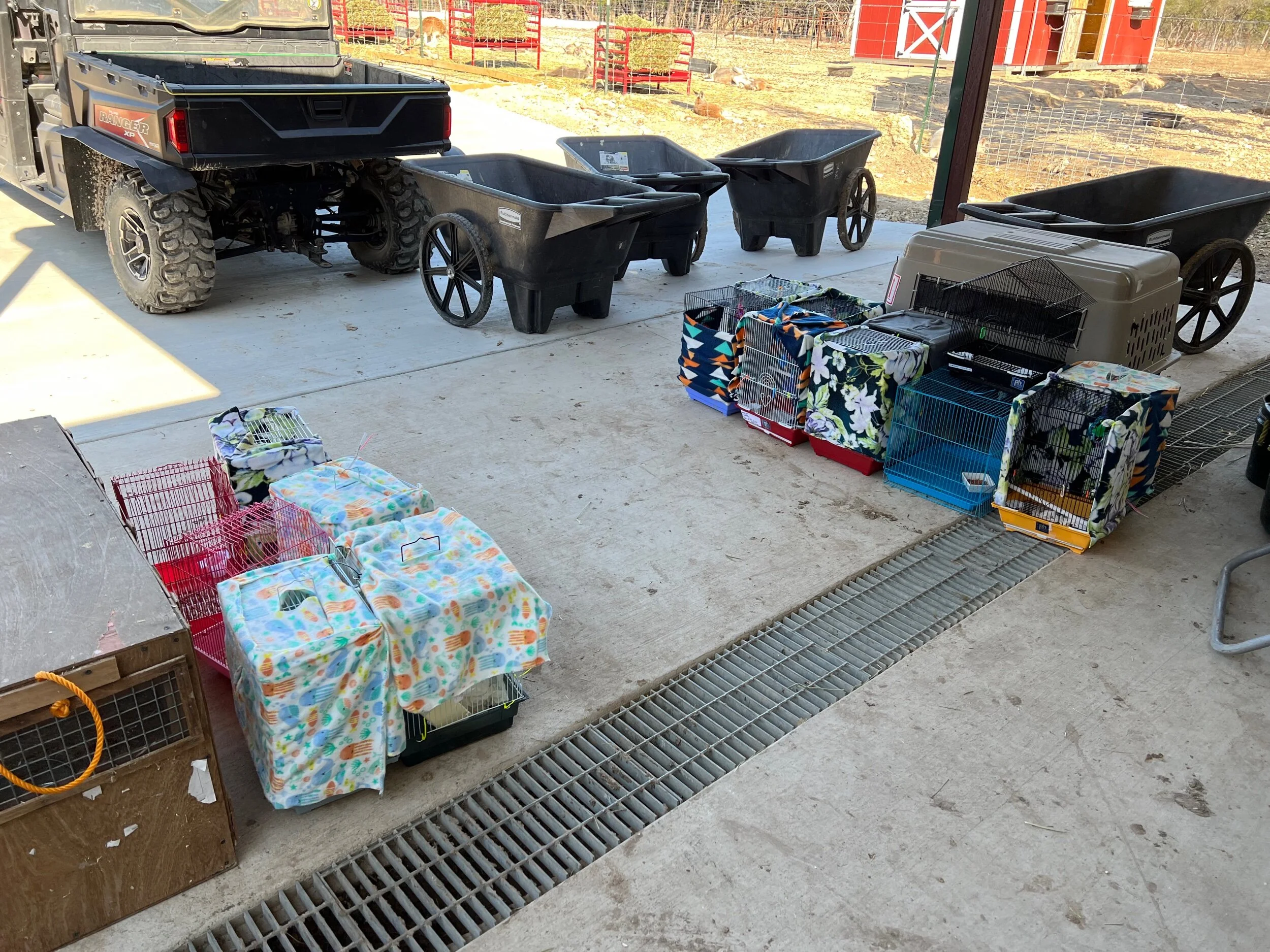 7E4D0299-FDD1-4266-9F2B-B0A25D9B423E