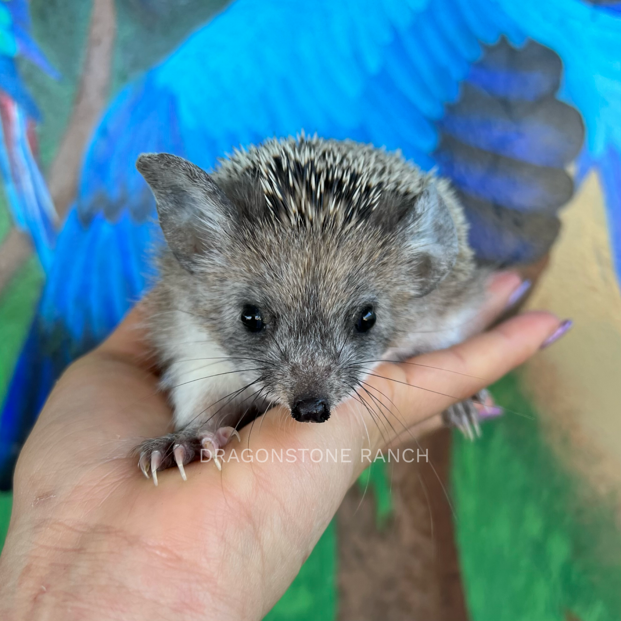 F3F55171-AF08-40A1-8575-6E1DB644740C