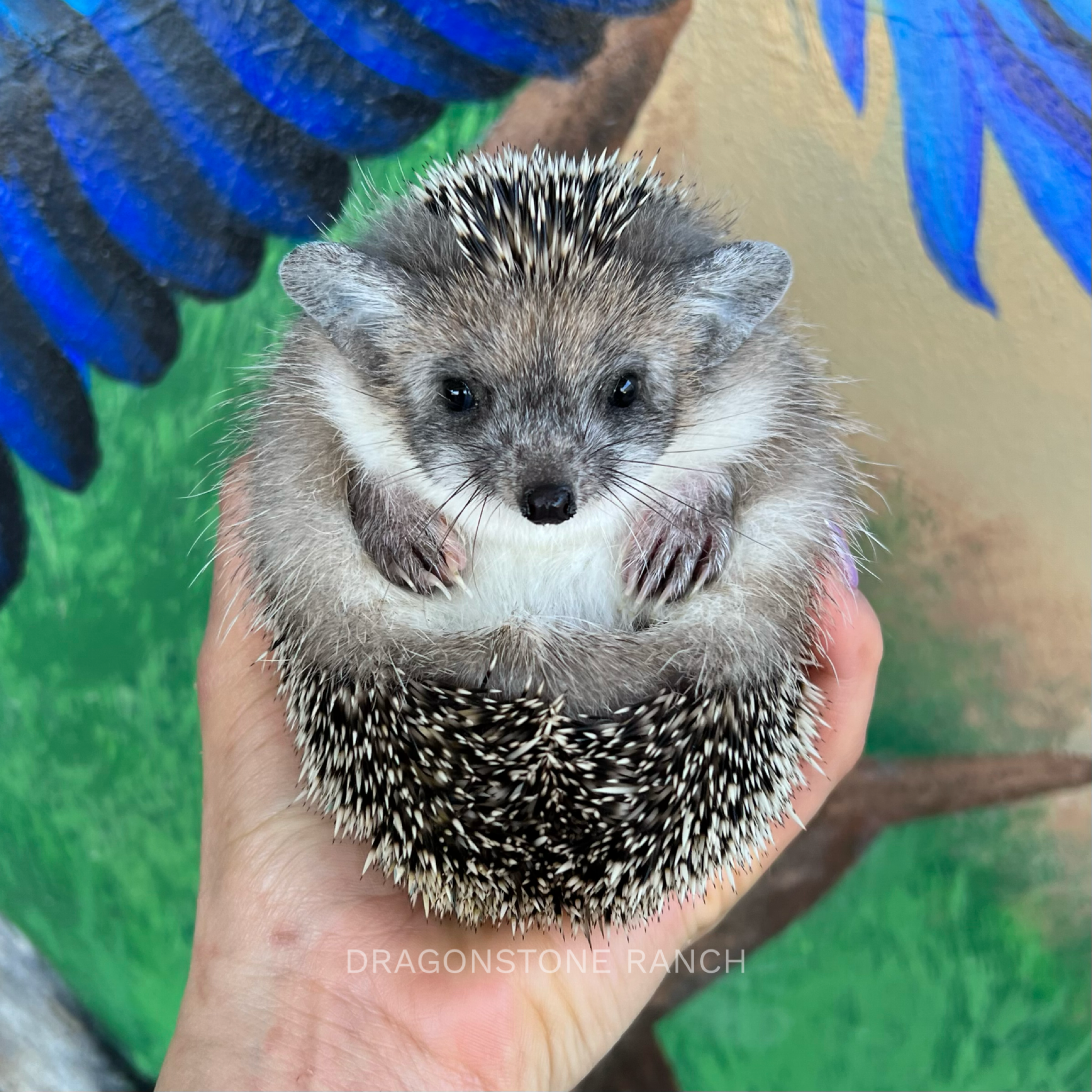 62EEE80B-7C42-4FB3-B4A7-1F6D714F4757