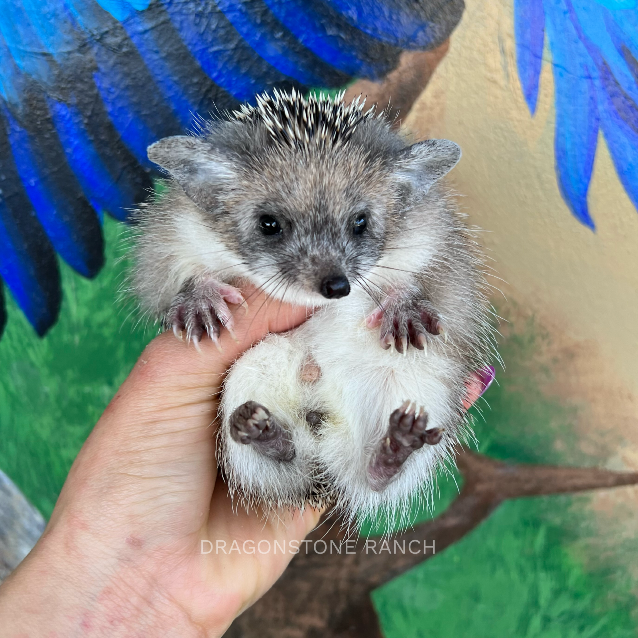 D9B68A2F-8579-4A90-91BE-F692E8085C16