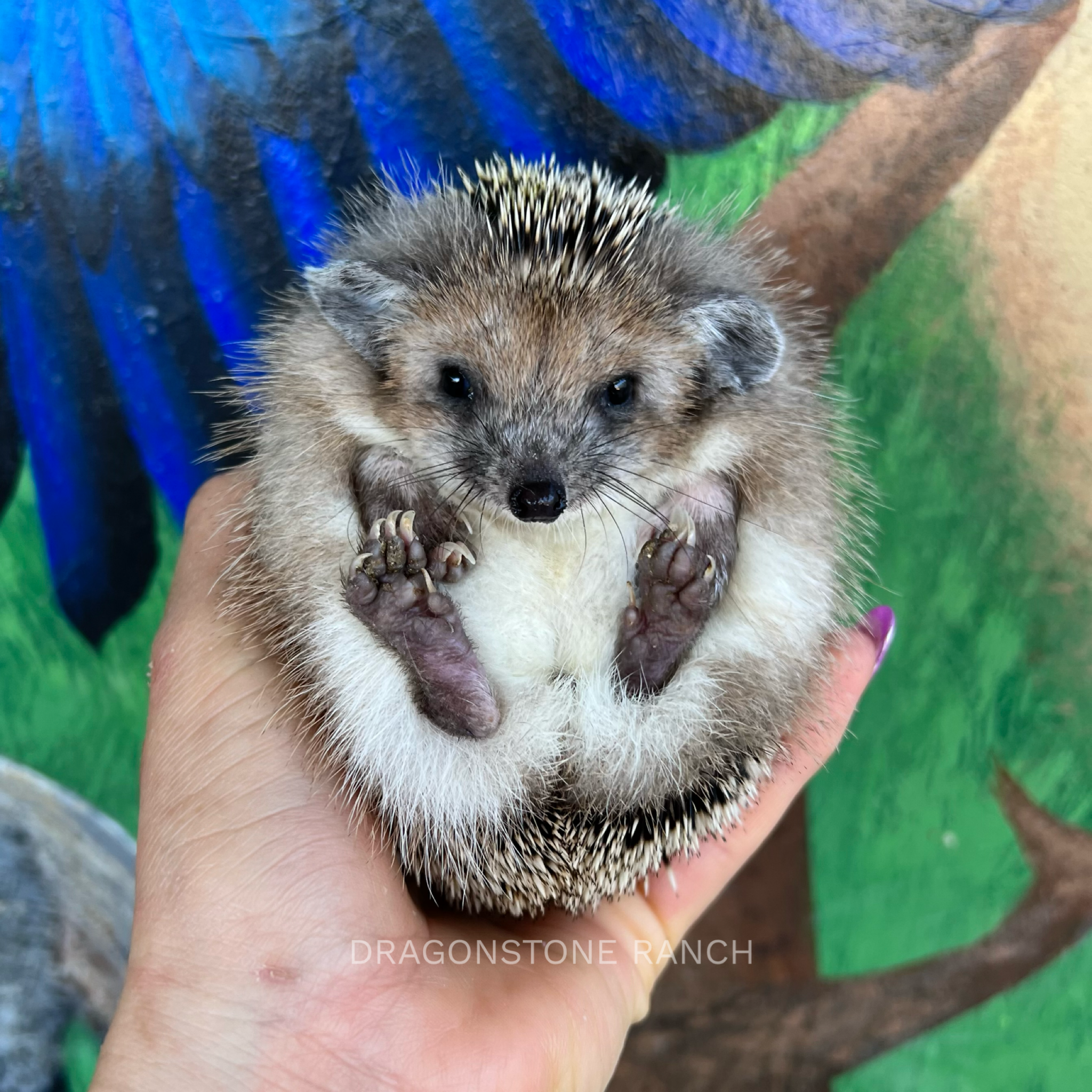 6323DC37-D80E-4EDC-AAAB-2E27CF41A51D