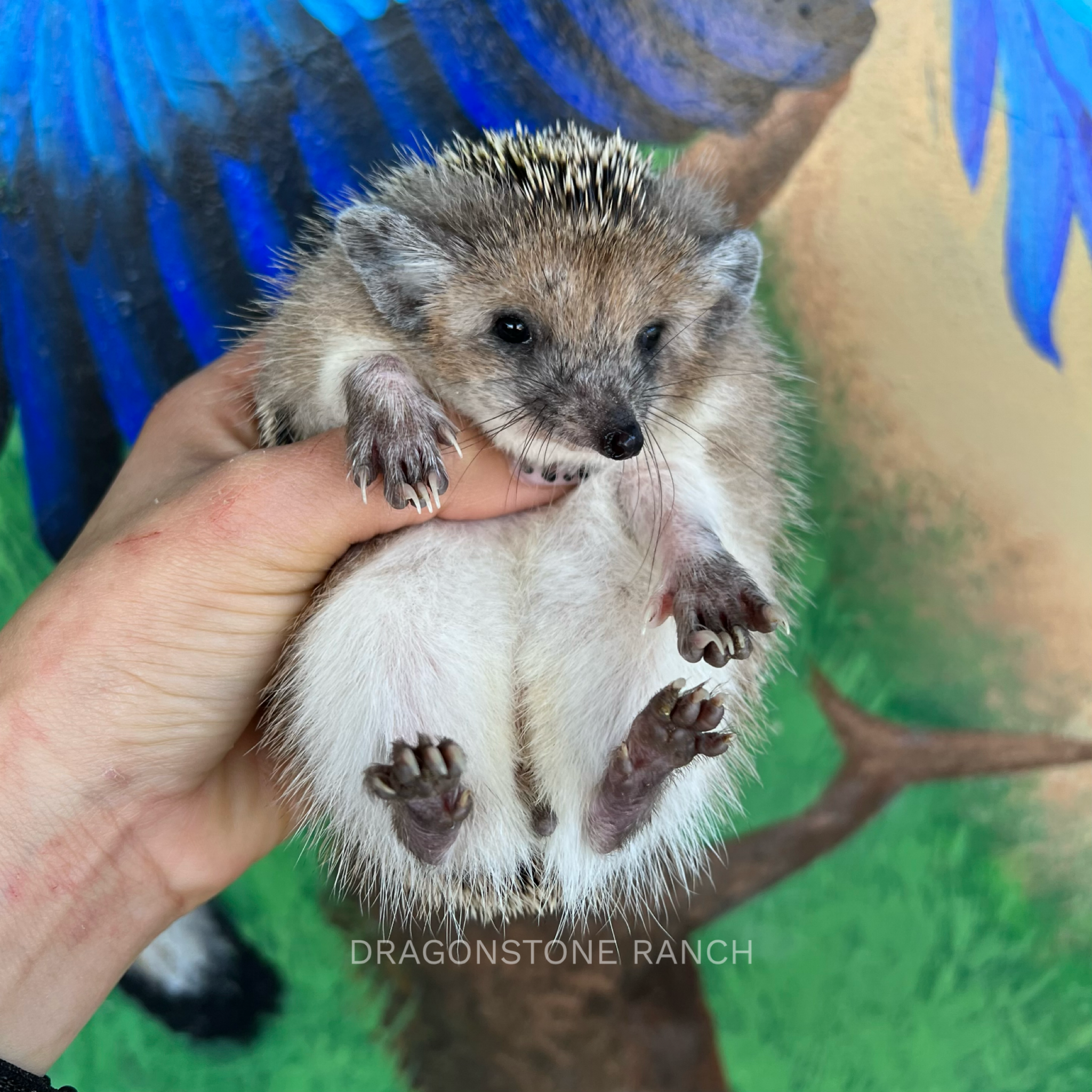 573BCE67-1043-4FFC-B462-EE573E099694