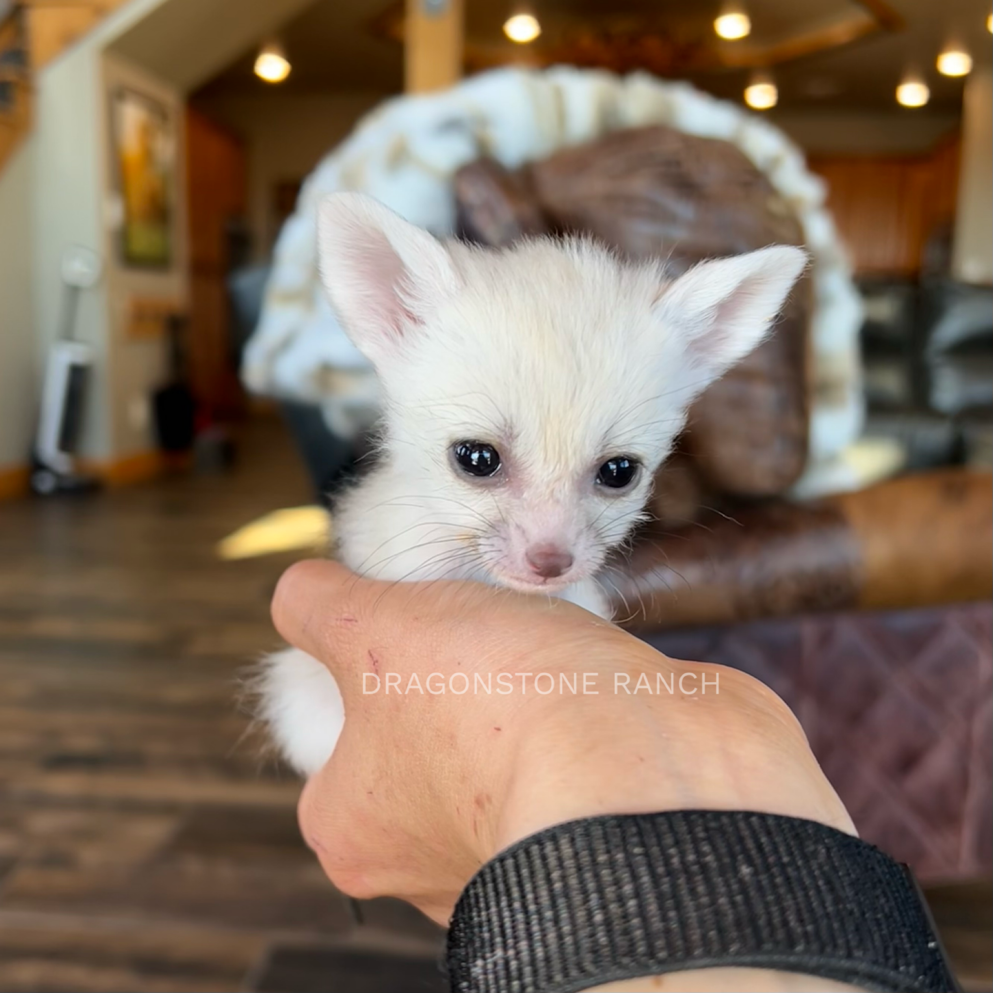 8FE1373B-5001-4FAA-B72E-85D32B7815C5