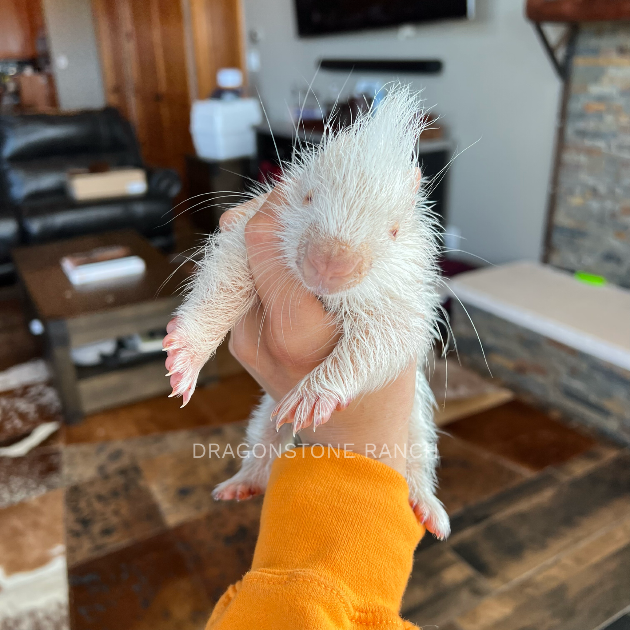 3EA901AA-237B-4F9C-9B18-687A18EEC35A