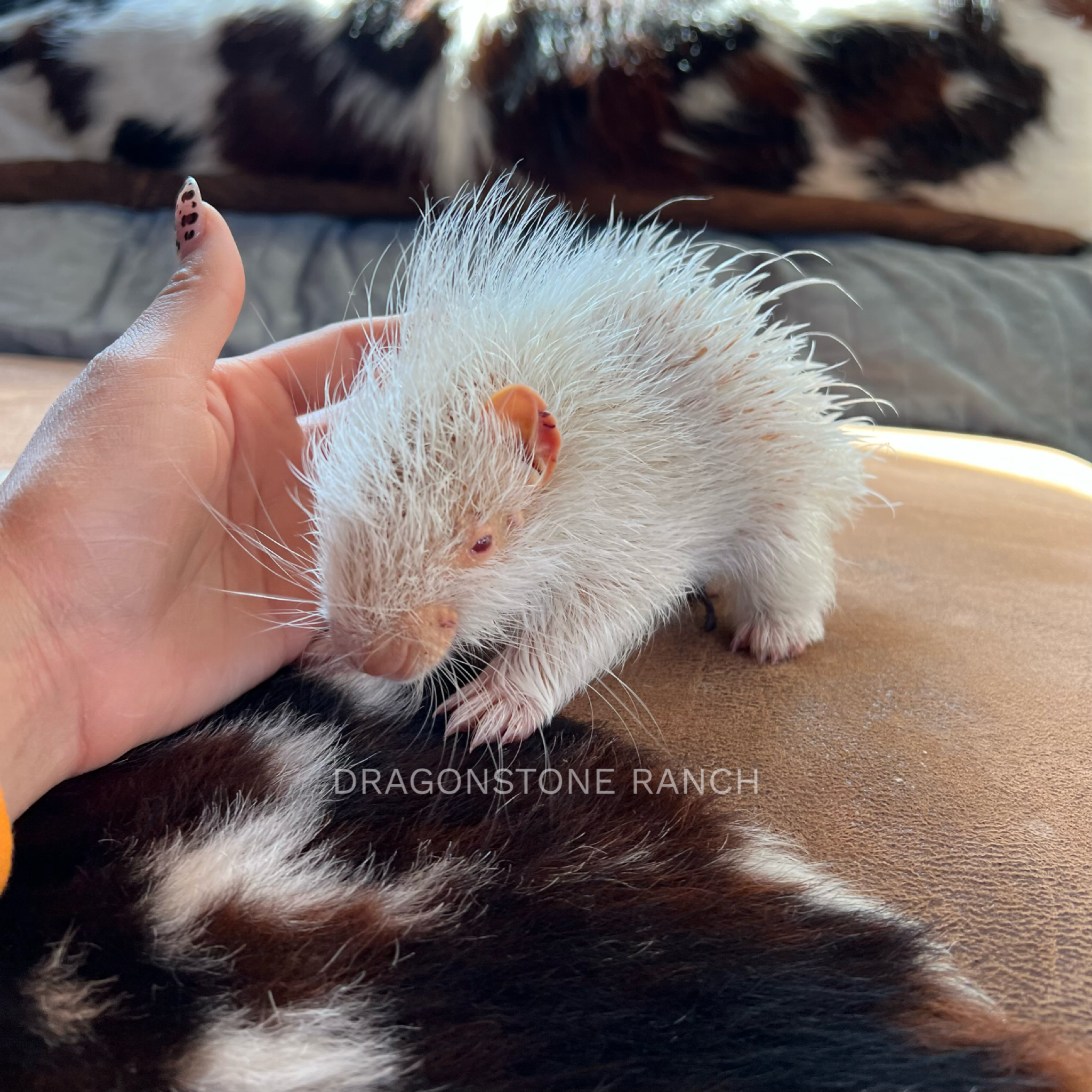 99CEE983-B96C-4893-9737-BF36A0409A0C