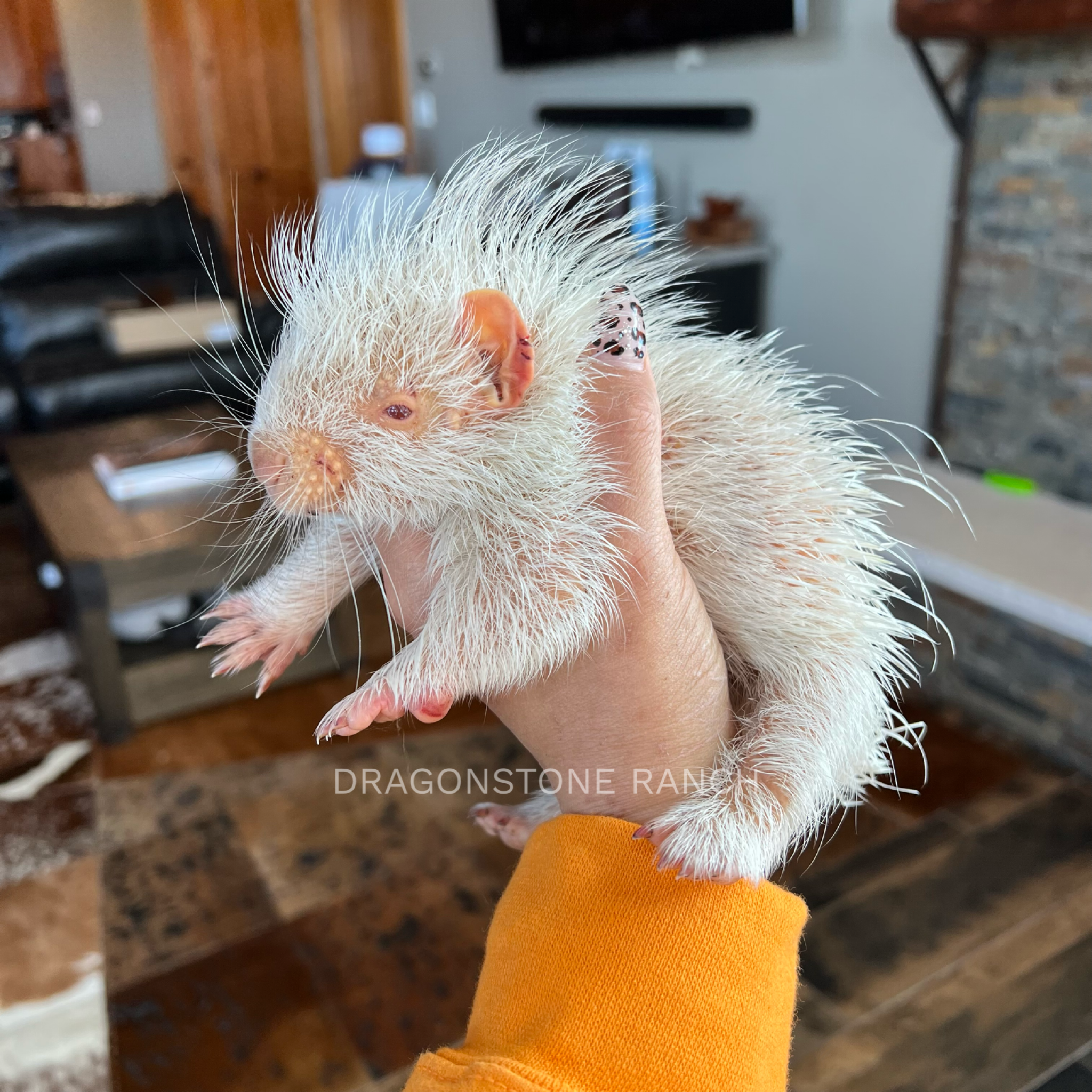 26DF4ADE-5886-47FC-9A9F-818D78926F1F