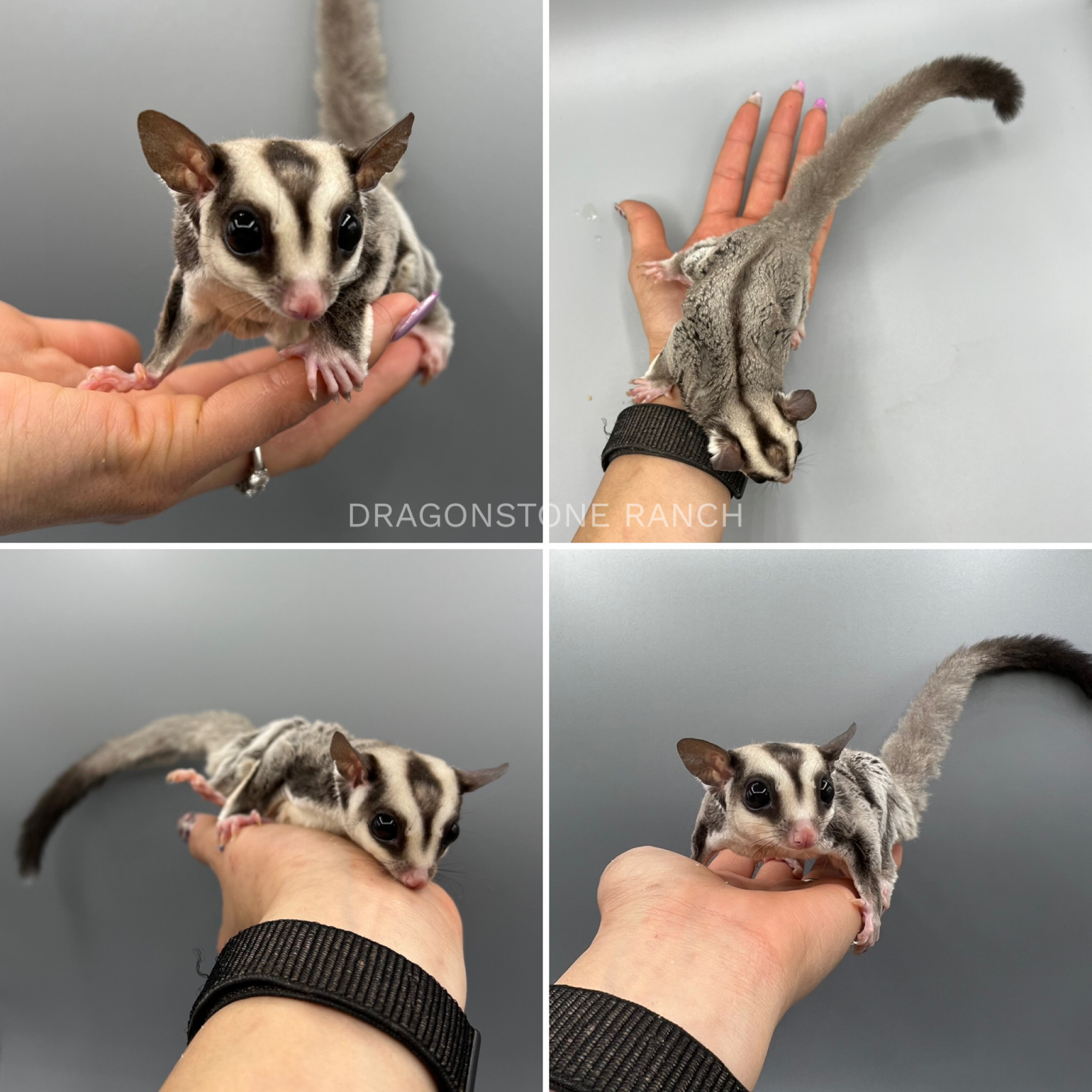 28D5DC8F-A268-454F-858B-1F825F3E0A9C