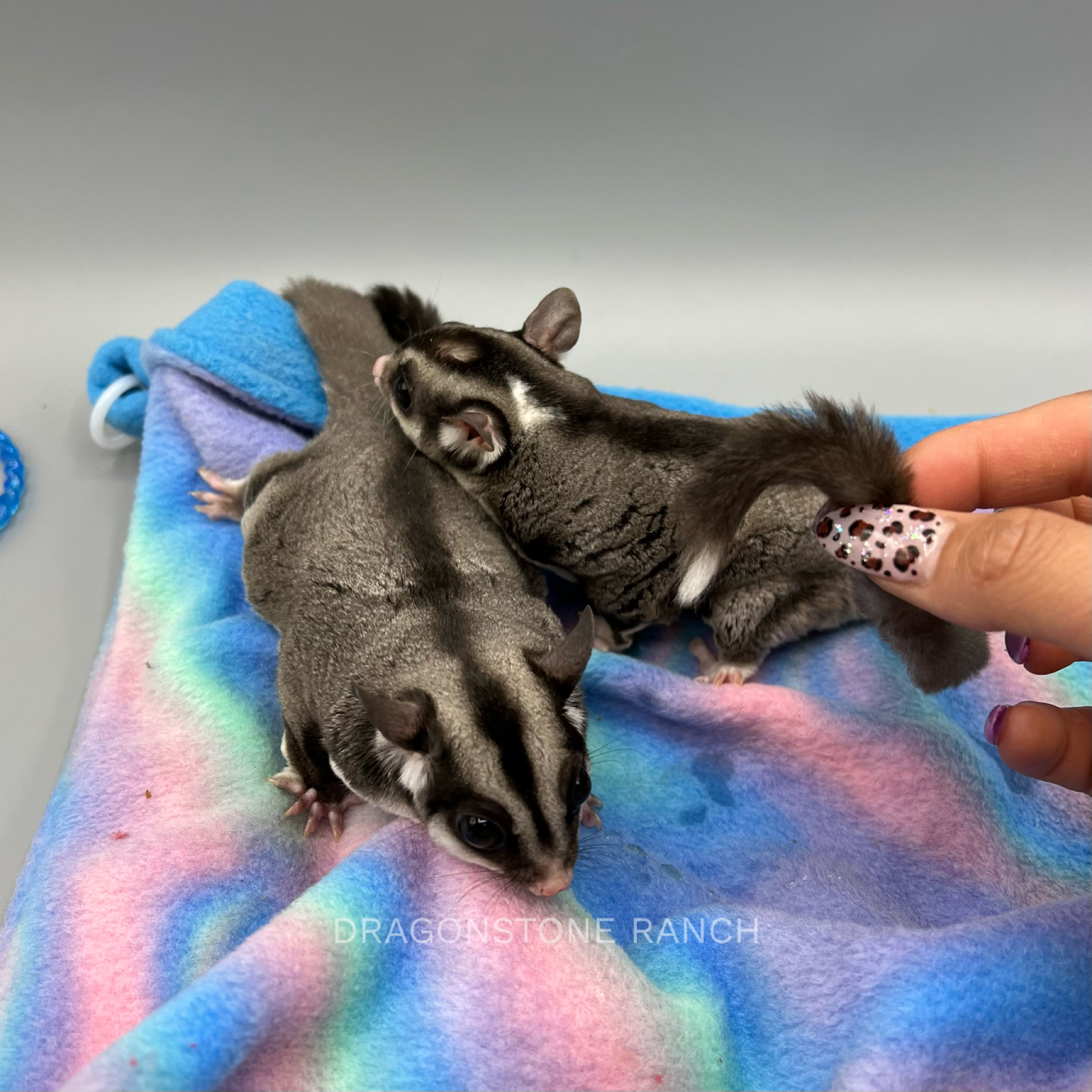 052DFEA1-3F8B-41A8-B39C-F5A03213AFF5