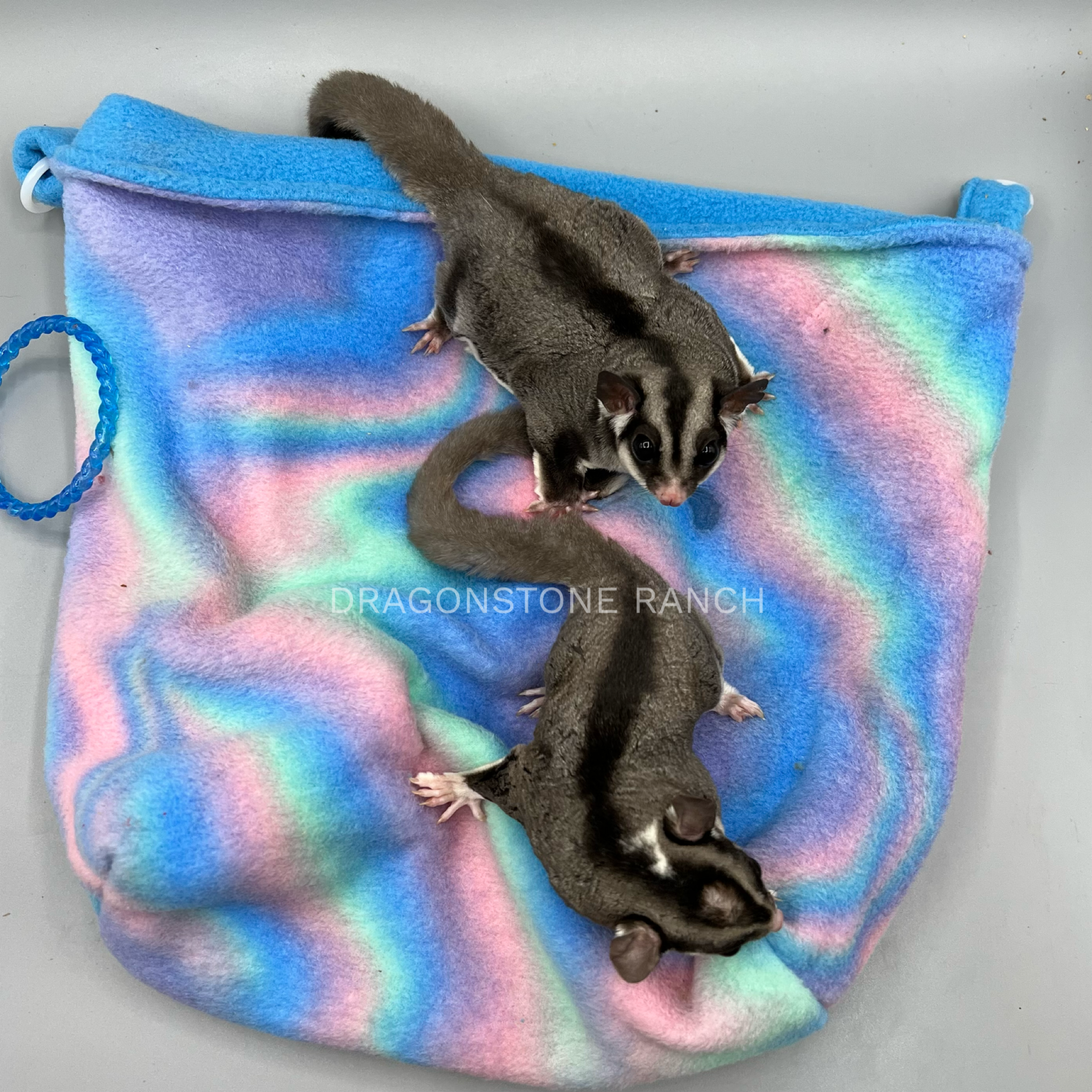 E02367DC-CB81-481E-8358-FB35270F5D87