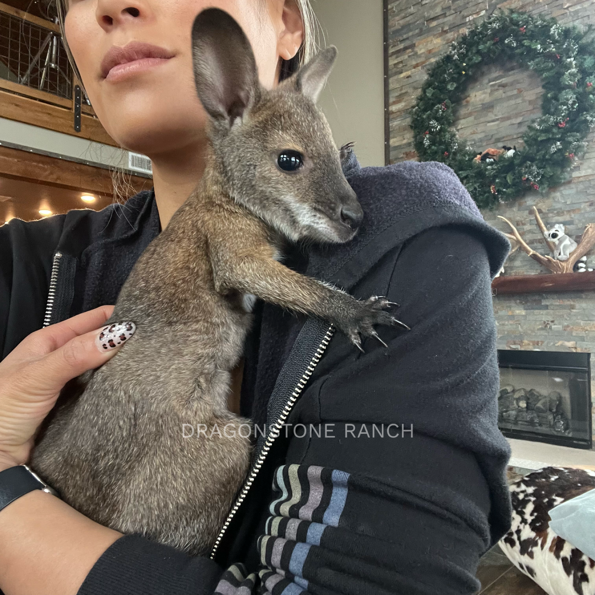 319E6238-728B-49FF-A64D-FB75E02D0539