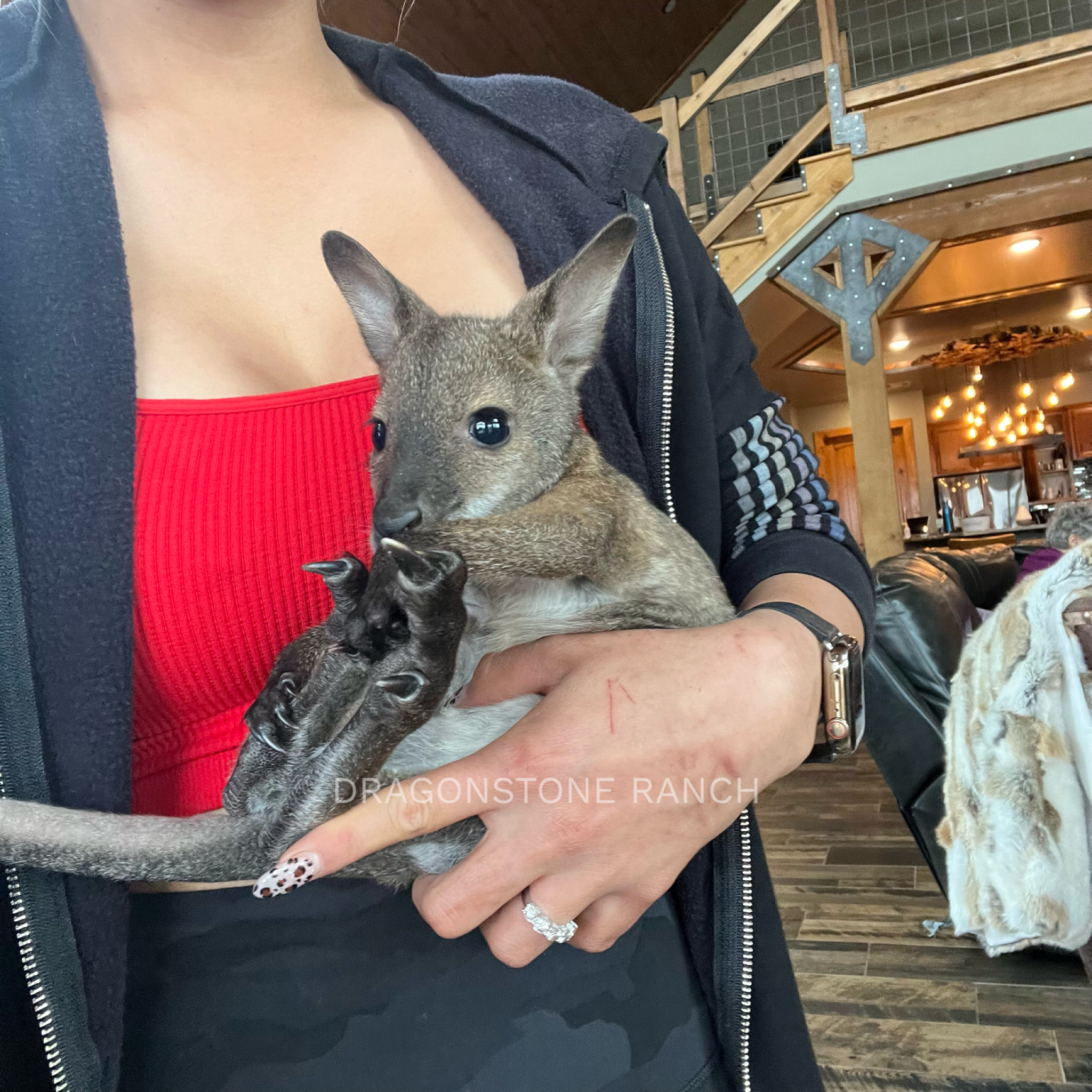 99C54D1C-0B8F-482B-81A1-1E78D56CA602