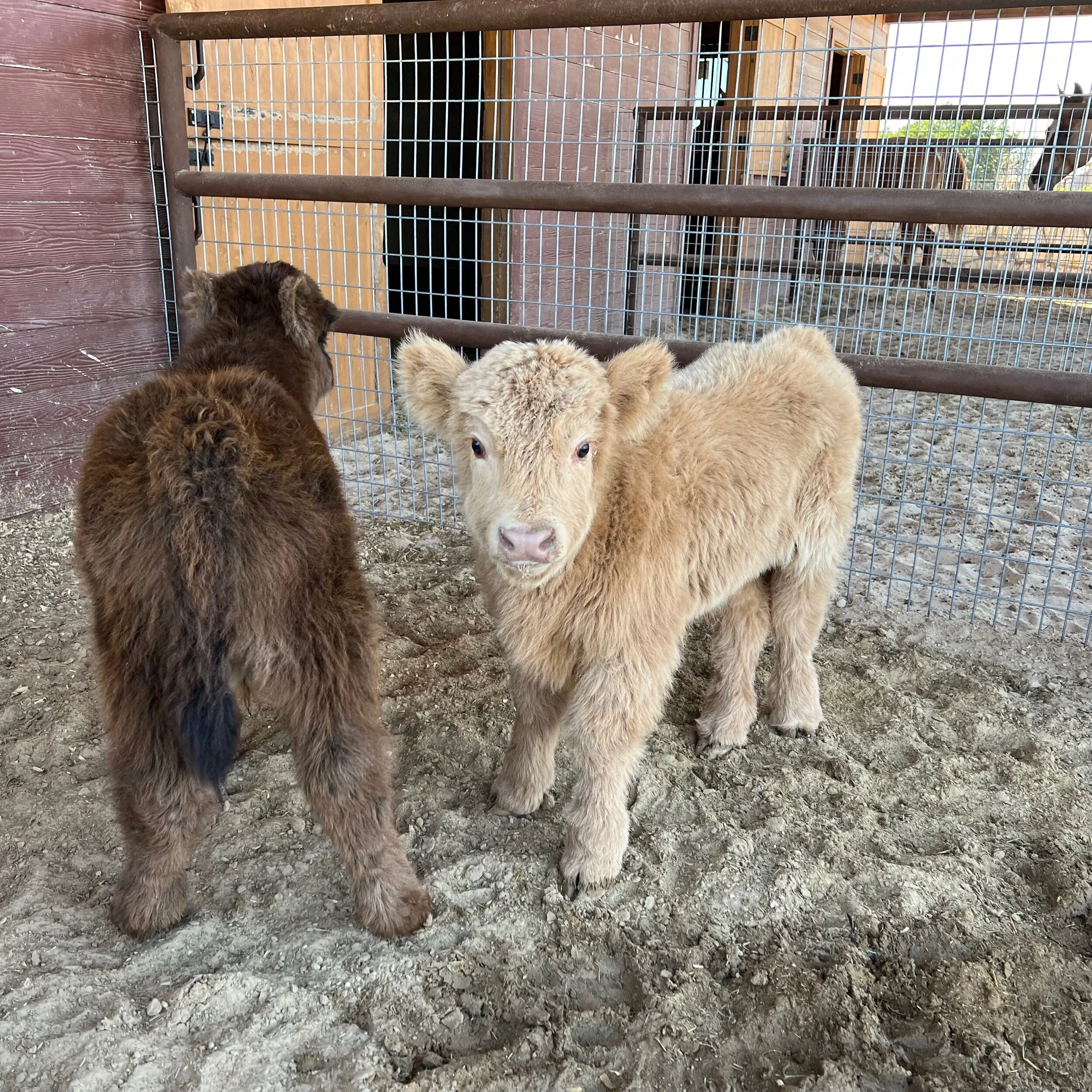 7578E2E4-EEF0-4577-AC95-B911DBD06856