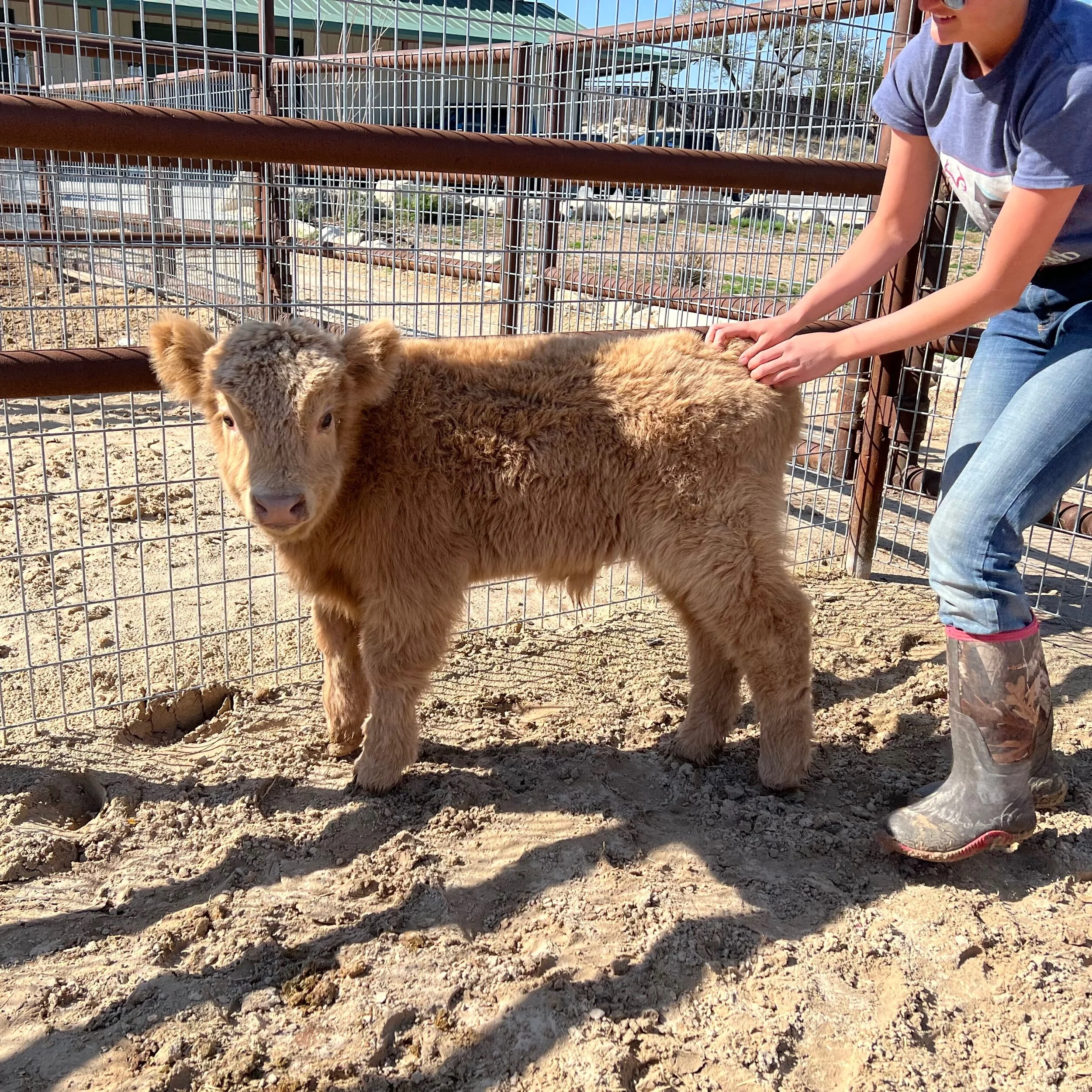 253375DB-D314-4576-A7A1-71C8CDCB267F