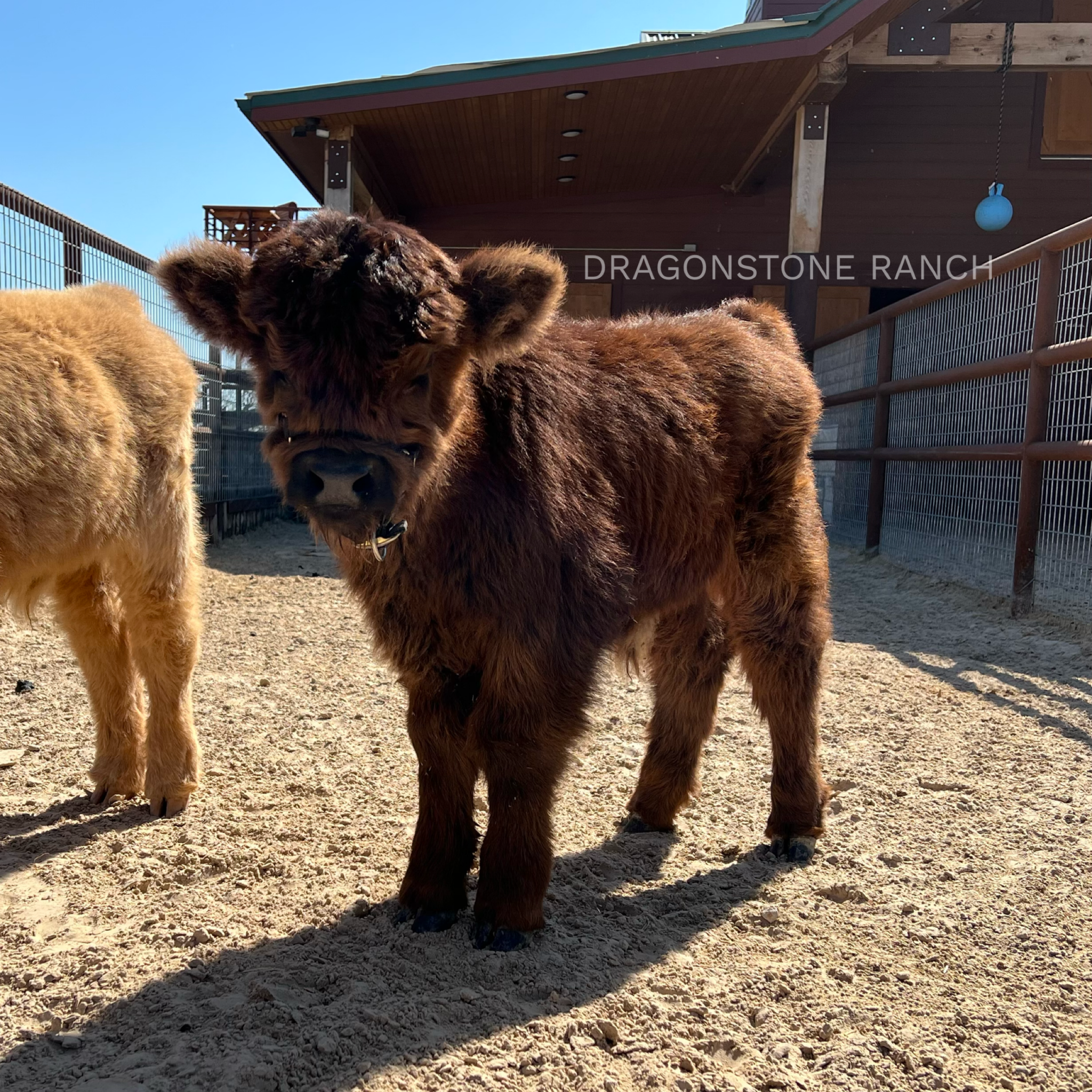 1EDF61DD-7C29-405A-9E96-79287D8B95AF