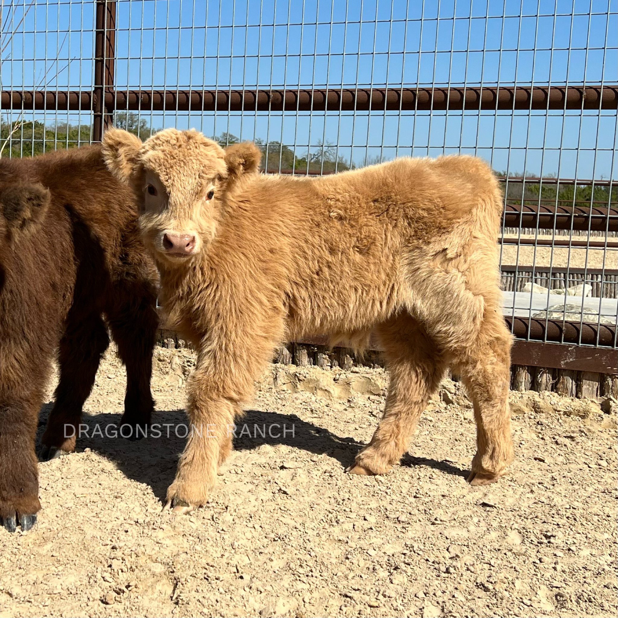 2BF7382A-7A93-465E-AAB8-1A001EBCA38E