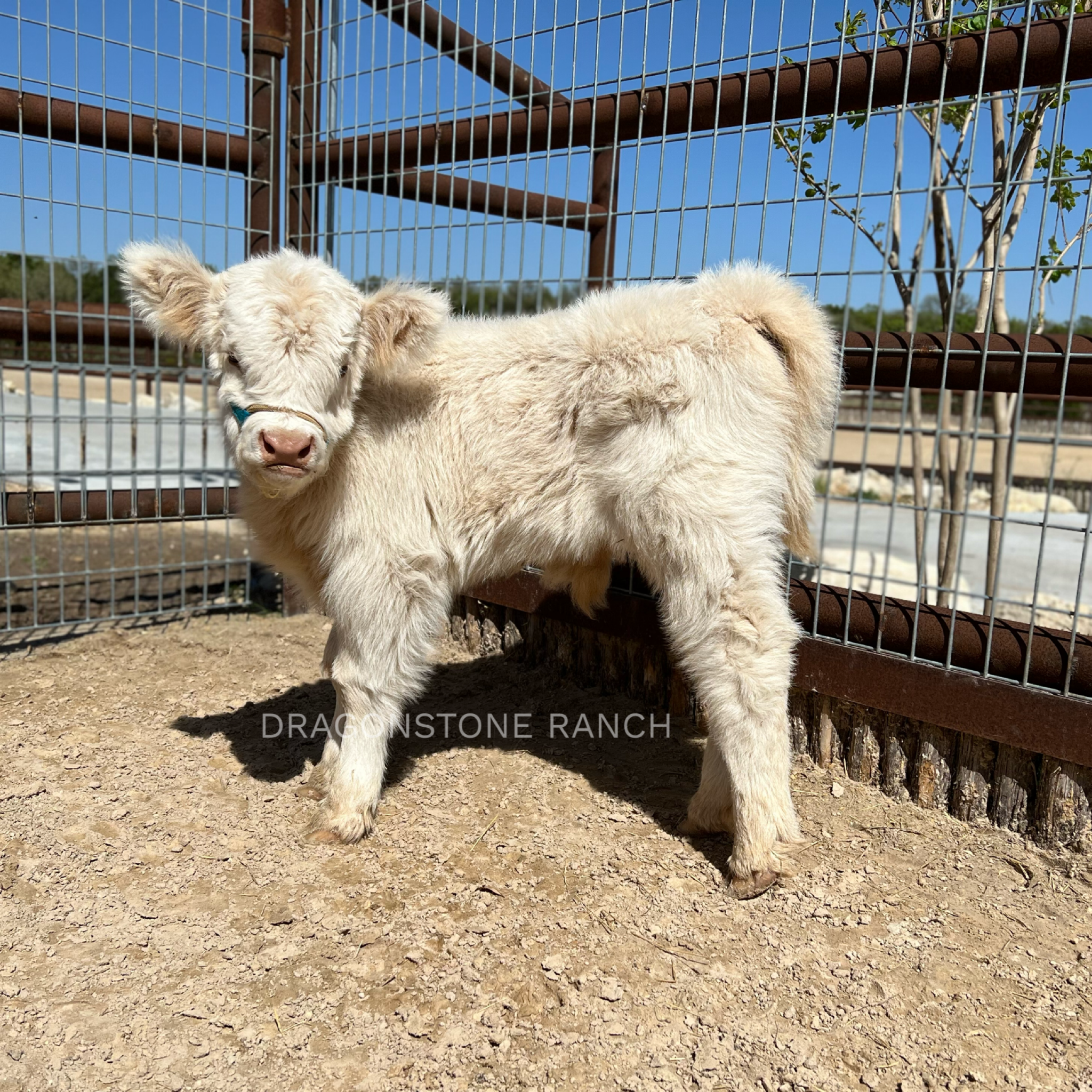 609DF8BB-482C-41F8-BFE8-8D986A79138E