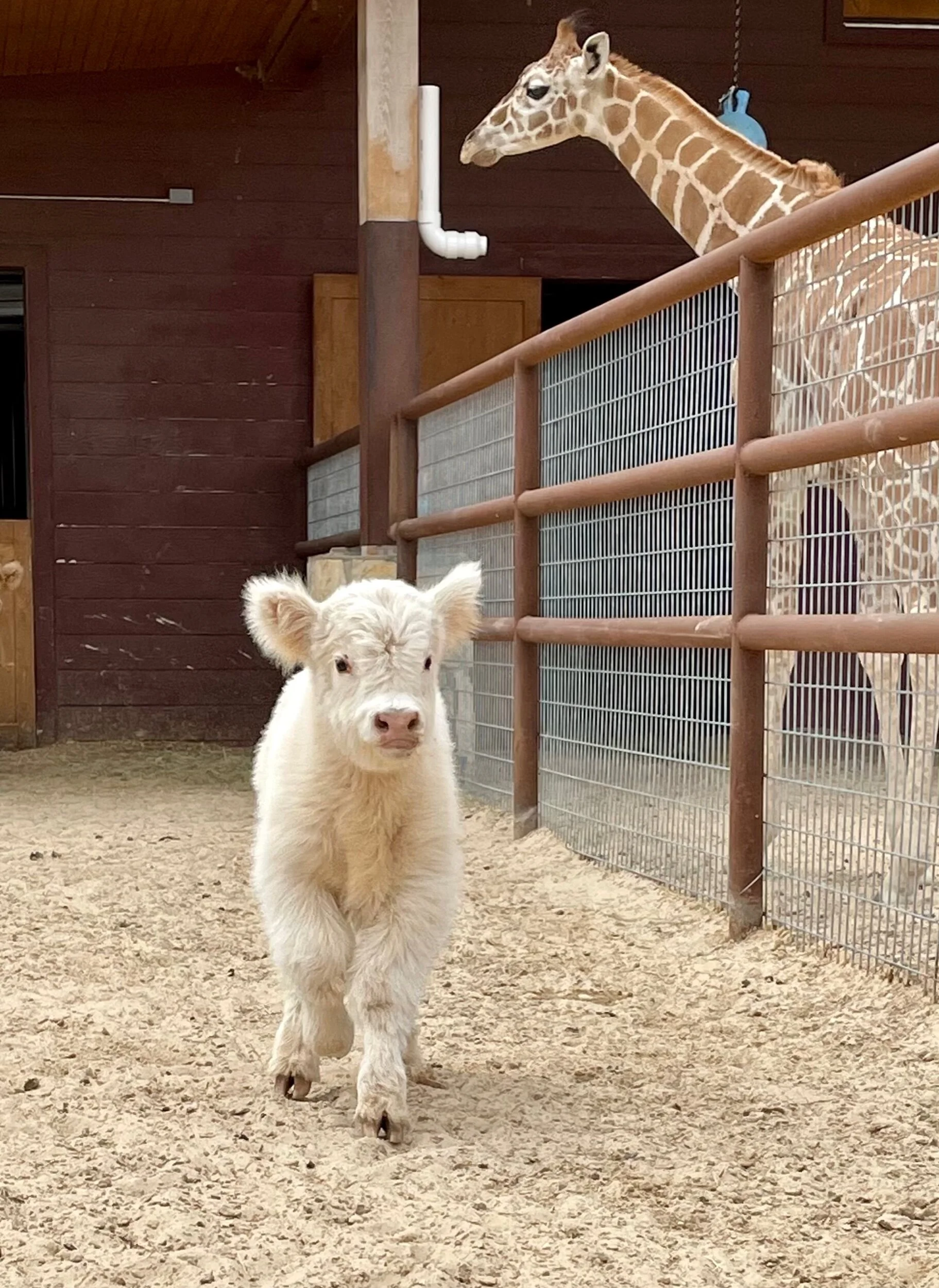 C5778F6E-D55B-4E1A-A641-8F15F9F7AF23