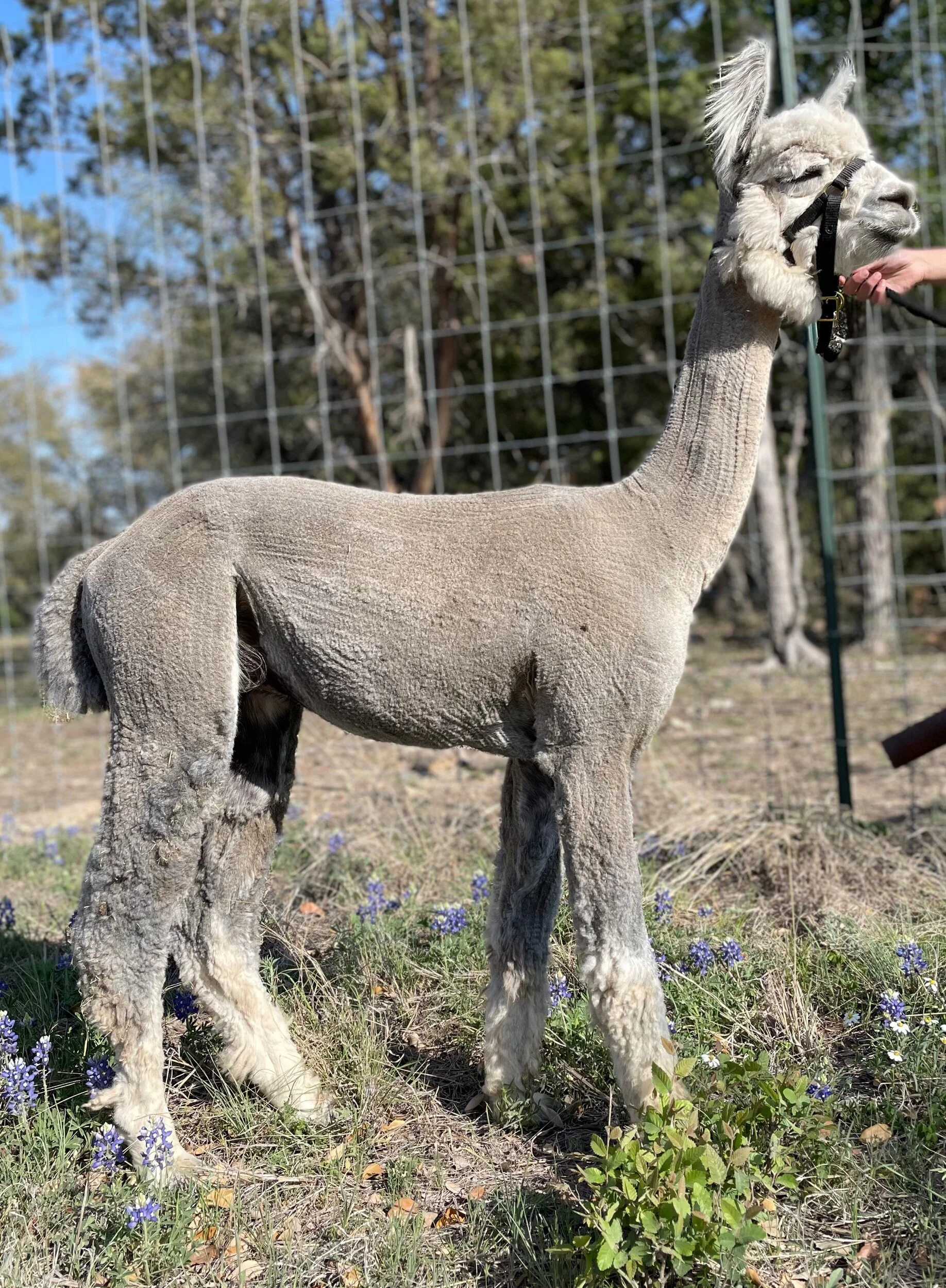 FC9C3C2E-D533-46E2-9E61-B02AD7C35574