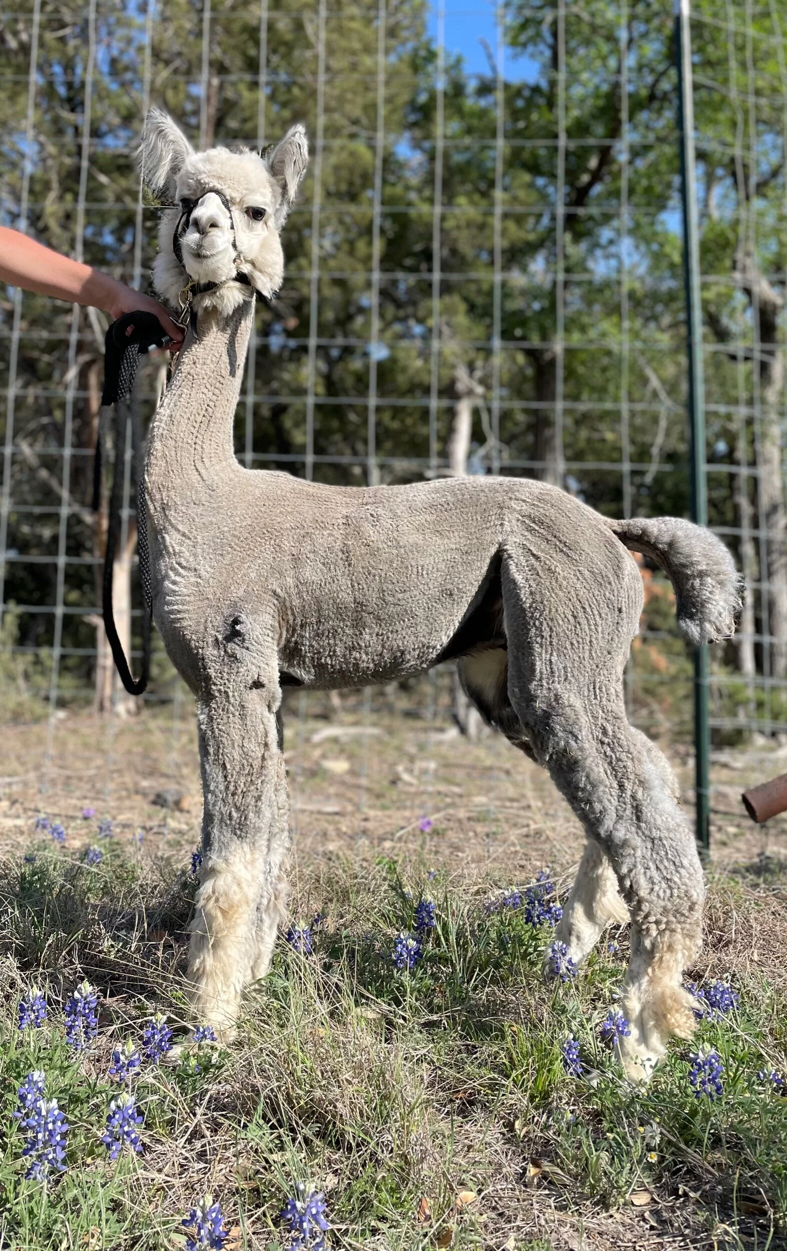 58A01FDB-A83B-480F-8364-29E512788473