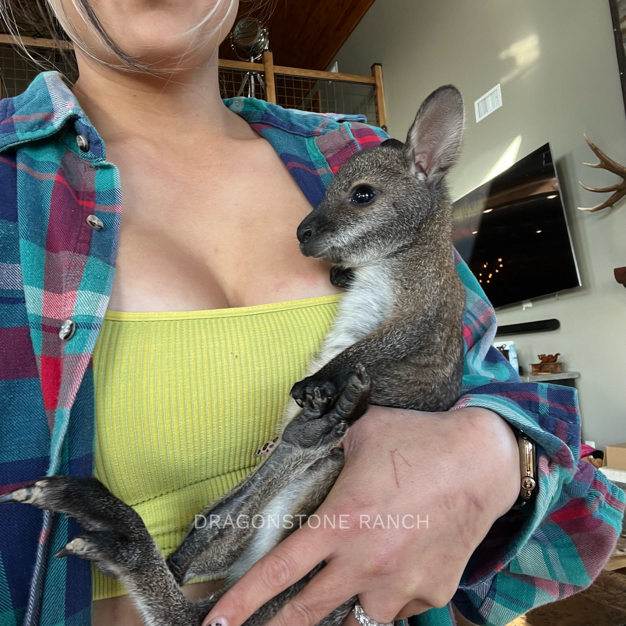 46972A1F-2646-4D57-AC16-F063806E2EF8