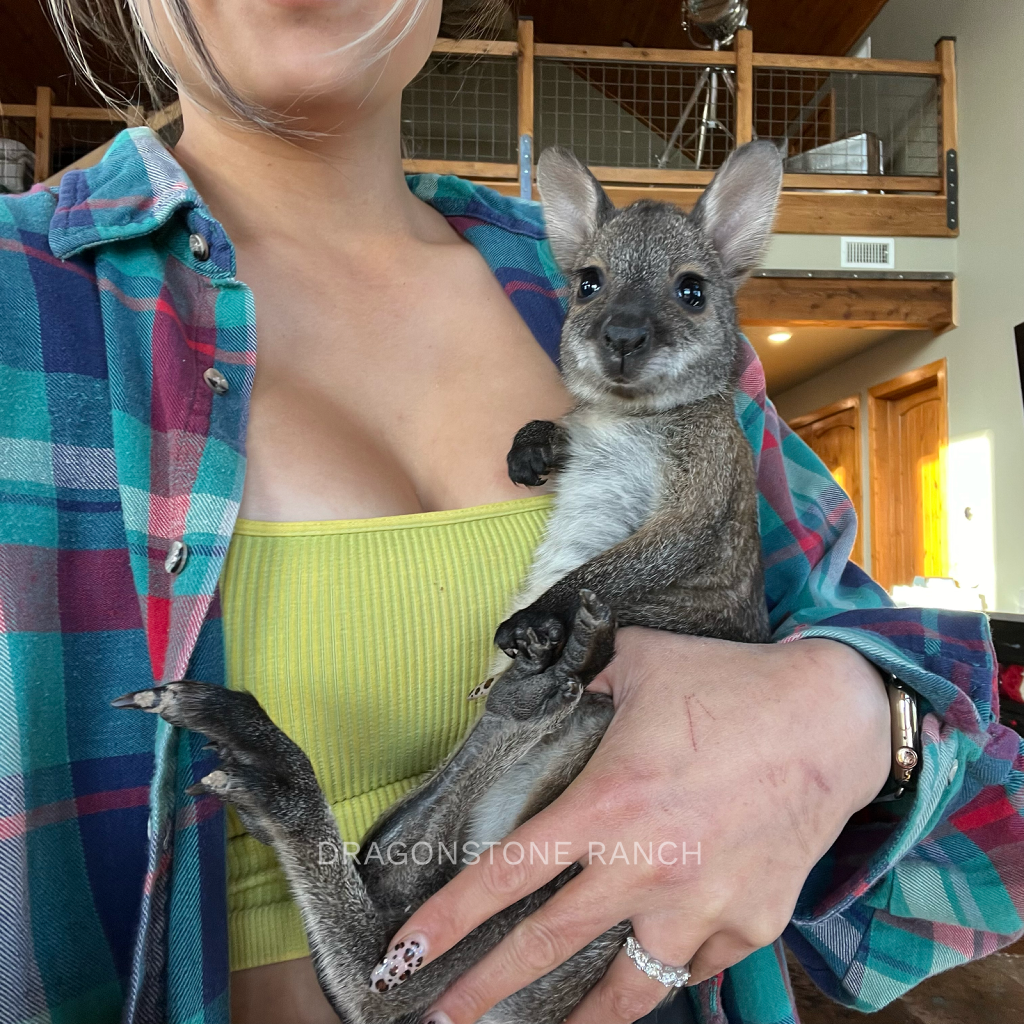 4FCDC1DB-6936-4650-8E97-FB9A32F81412