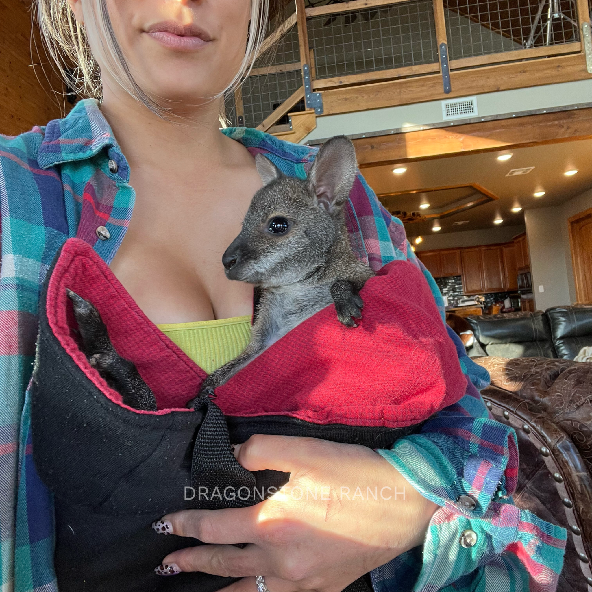 DD836327-677C-4D83-A281-7E205E05B5EB