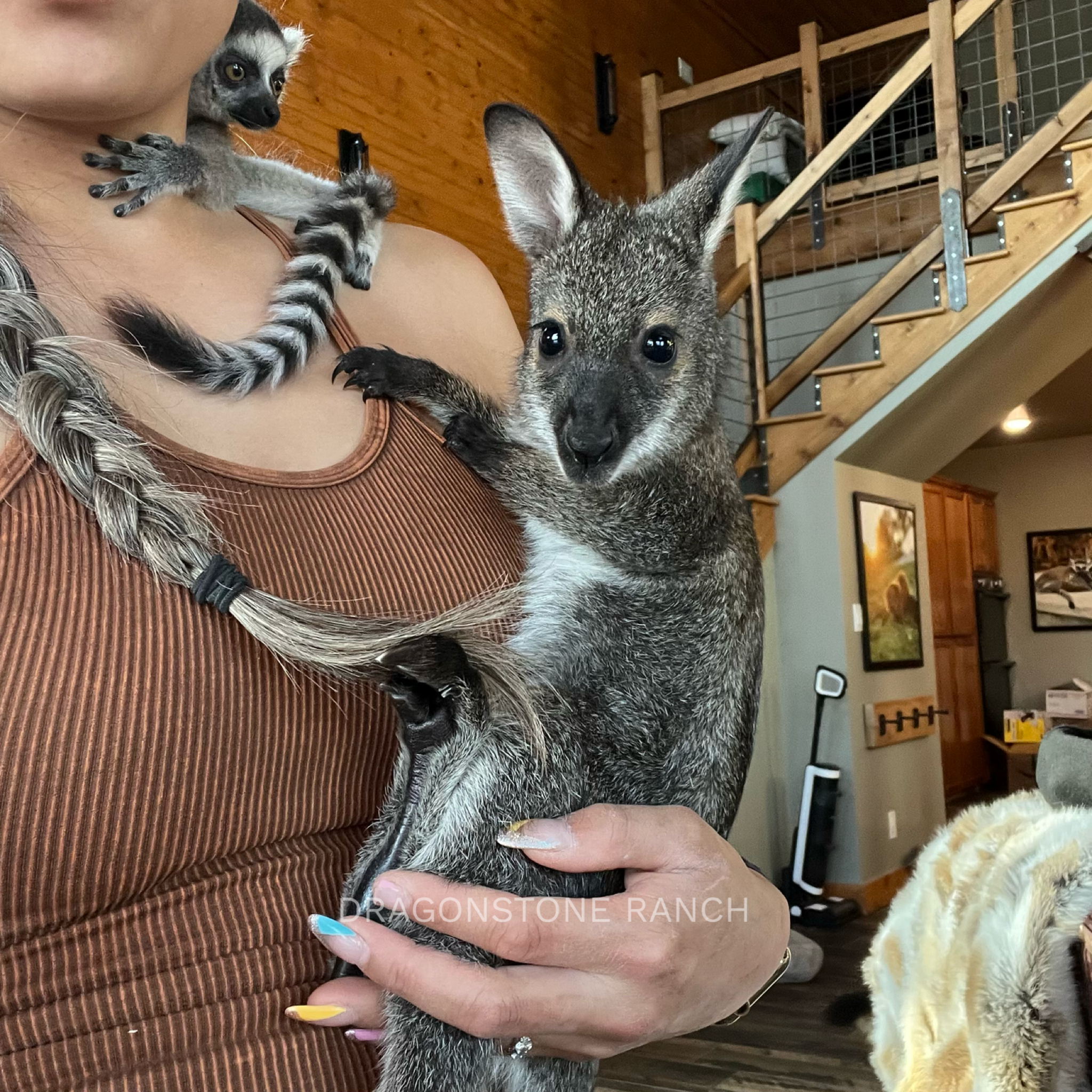 A282F653-3C04-42E0-9DC1-F186B3E8F96E