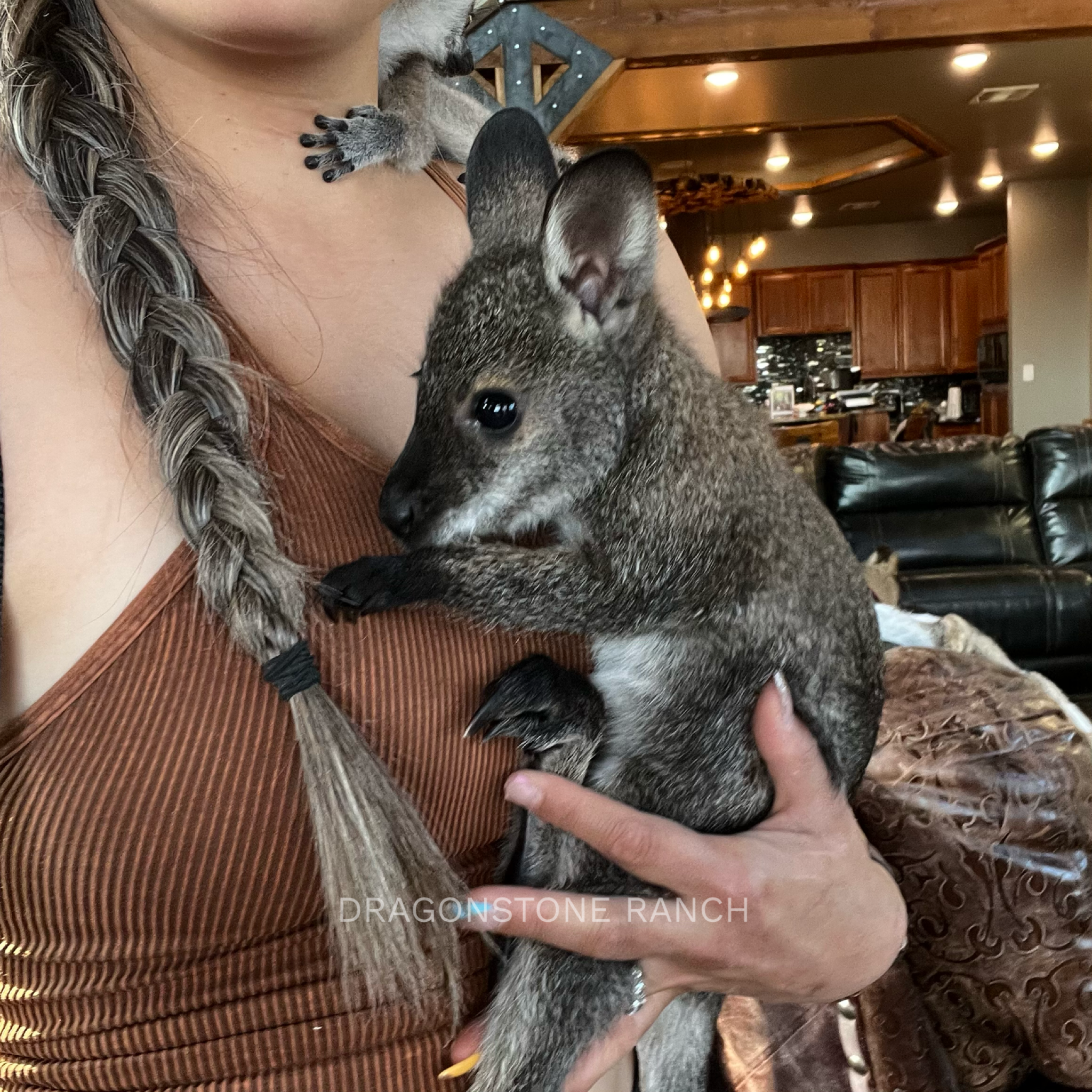 5DADE0F4-CA51-4ACB-A131-8676EC627682