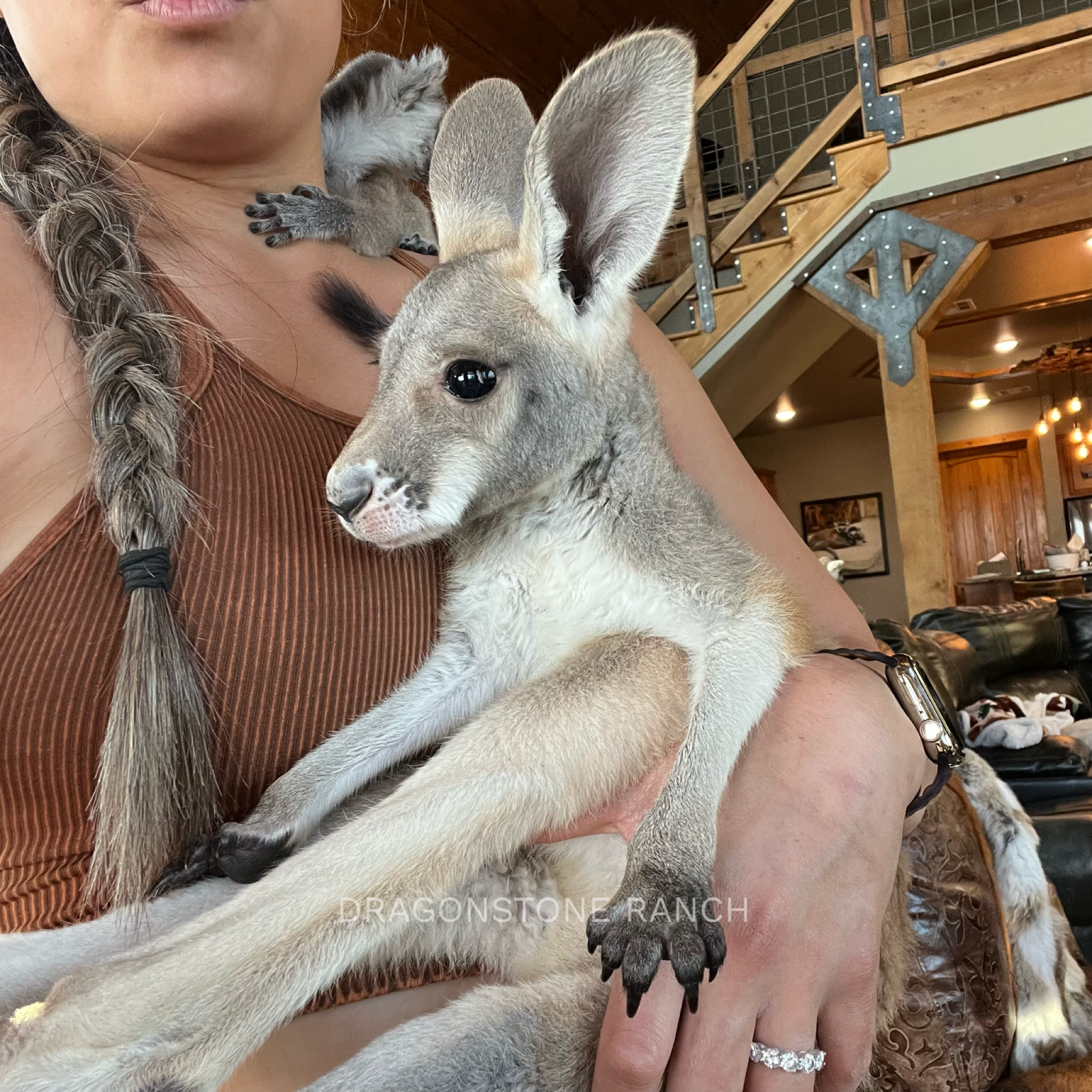 88366F52-03E2-416E-AE2D-C90AC6529743