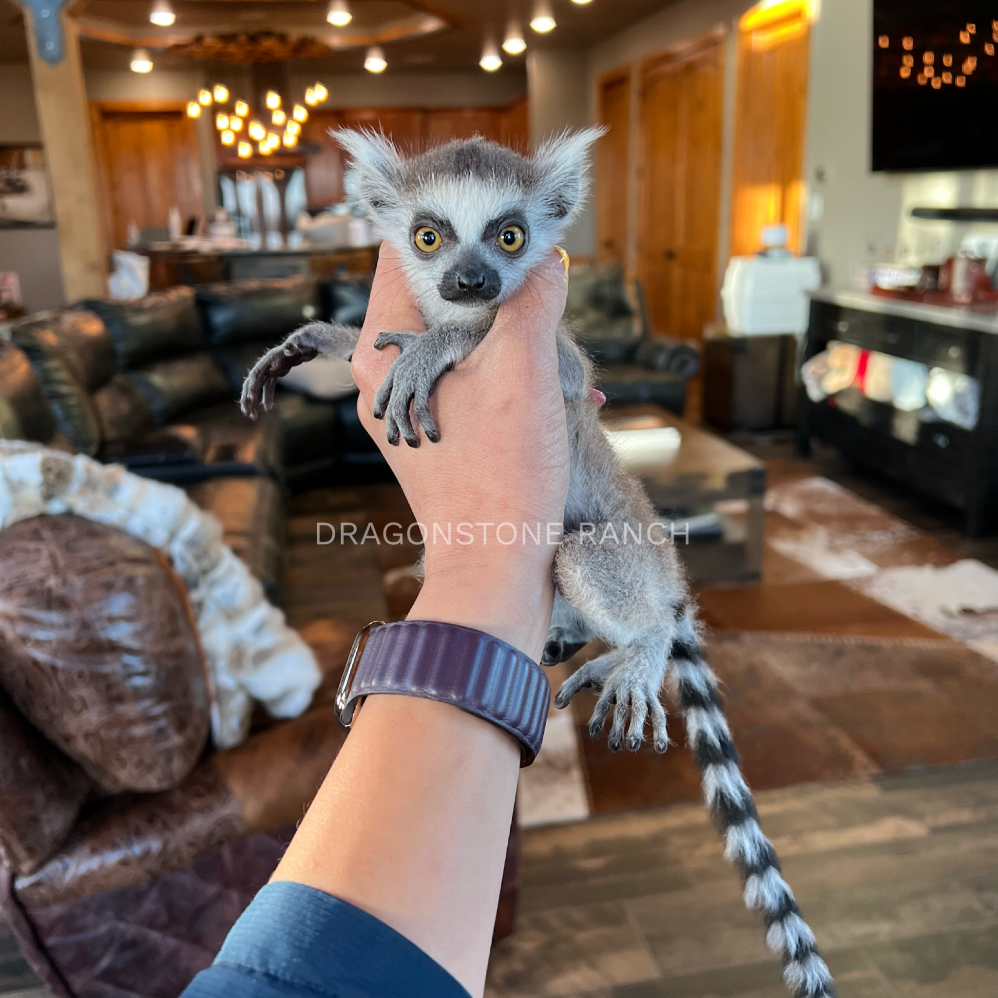 9884A301-062B-41B6-813E-9C67DDE6D6CA