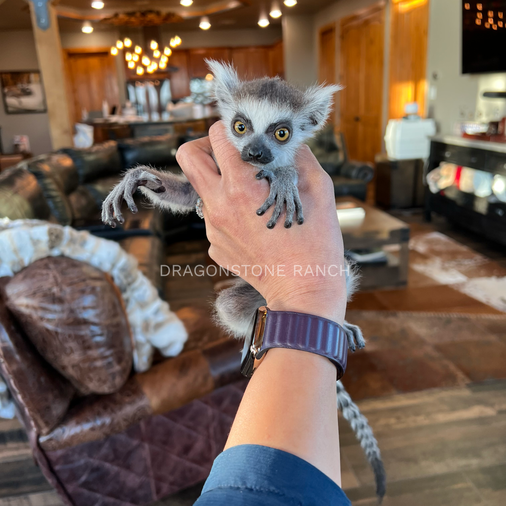 1205FBA1-758F-429E-BC61-454A4F21A626