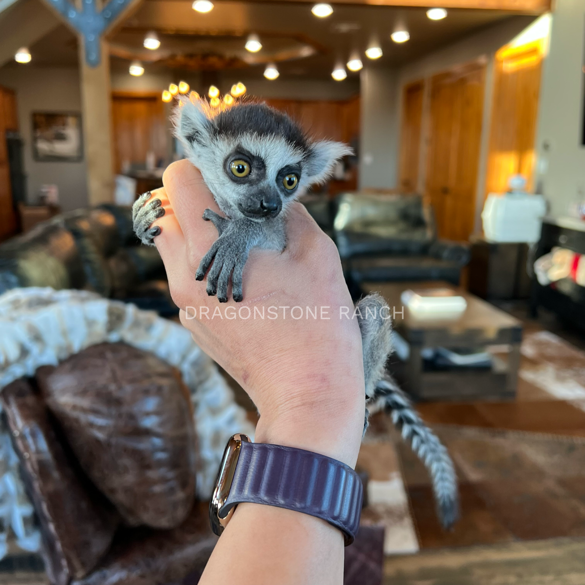 0CFE05F9-55E2-4FD2-9BC7-A482CEA59CF1