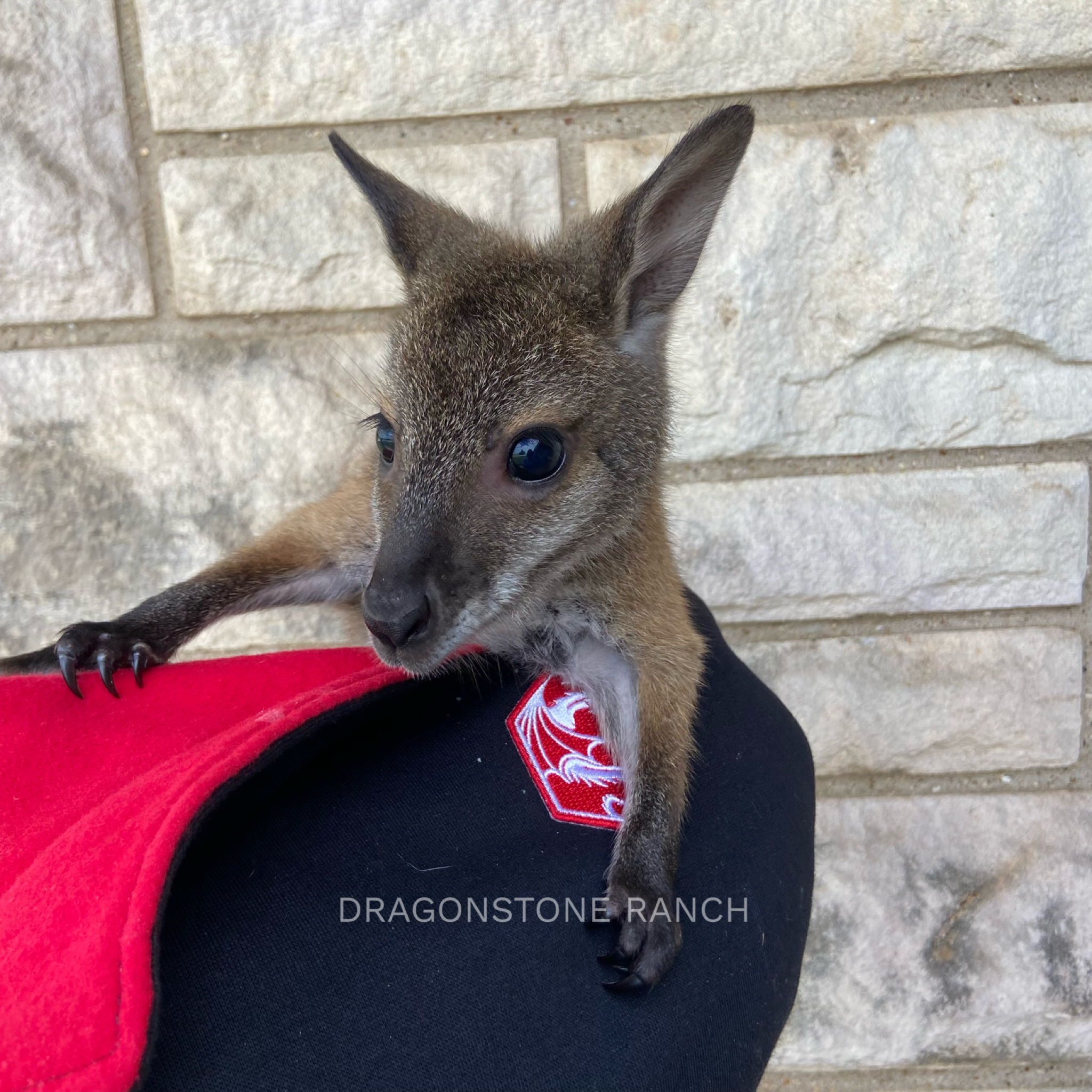 3D463BD7-8C3B-448A-A494-2FF6F569CEB8