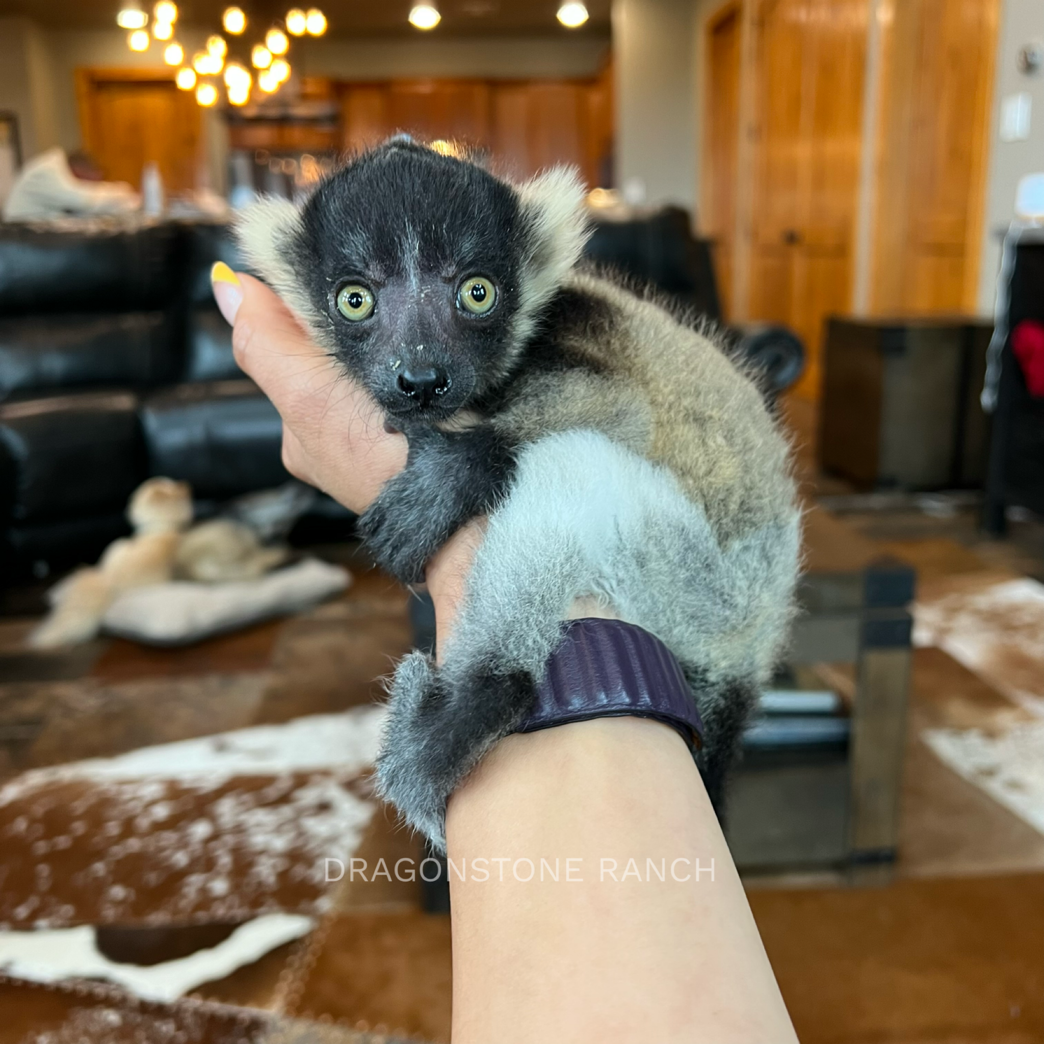 E5E10609-0109-4087-8036-60AB1D798AF7