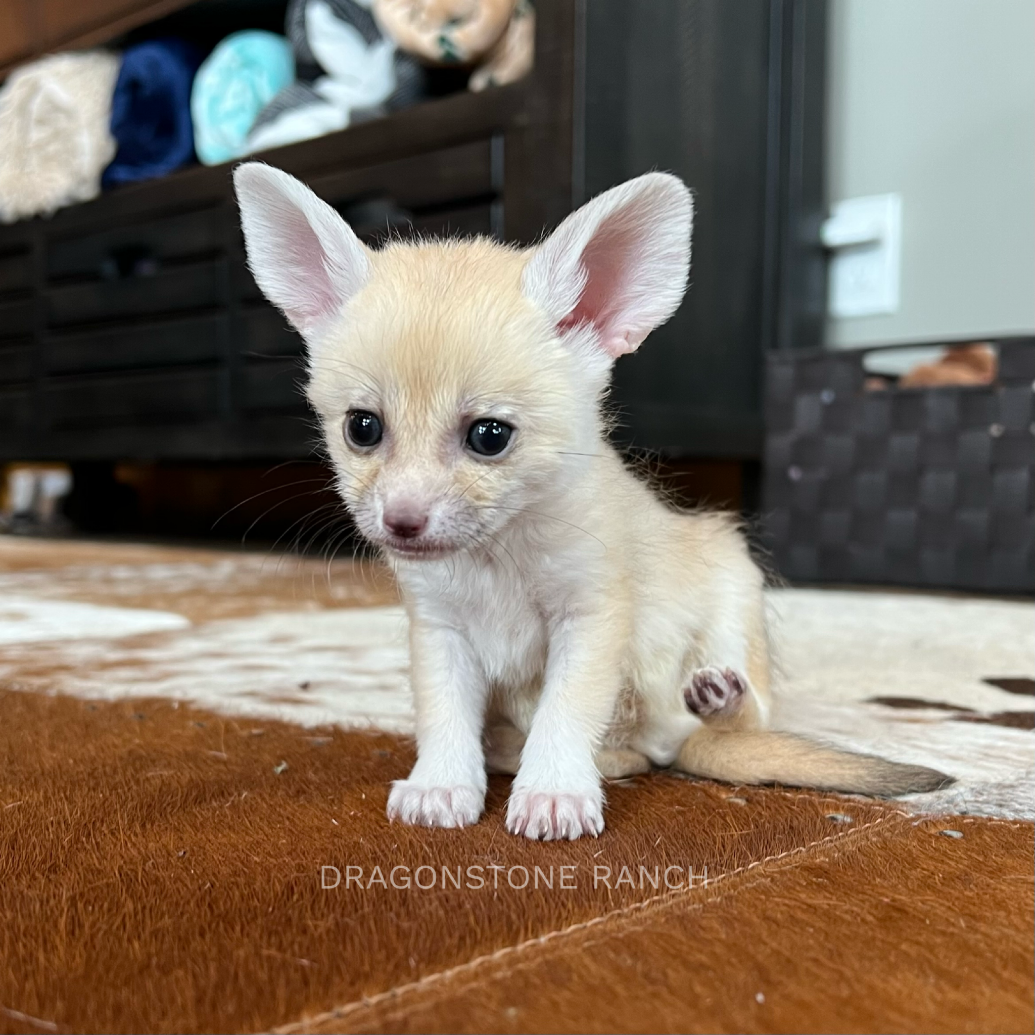 A90CBED4-0808-4743-8A08-B9093EB5D40E