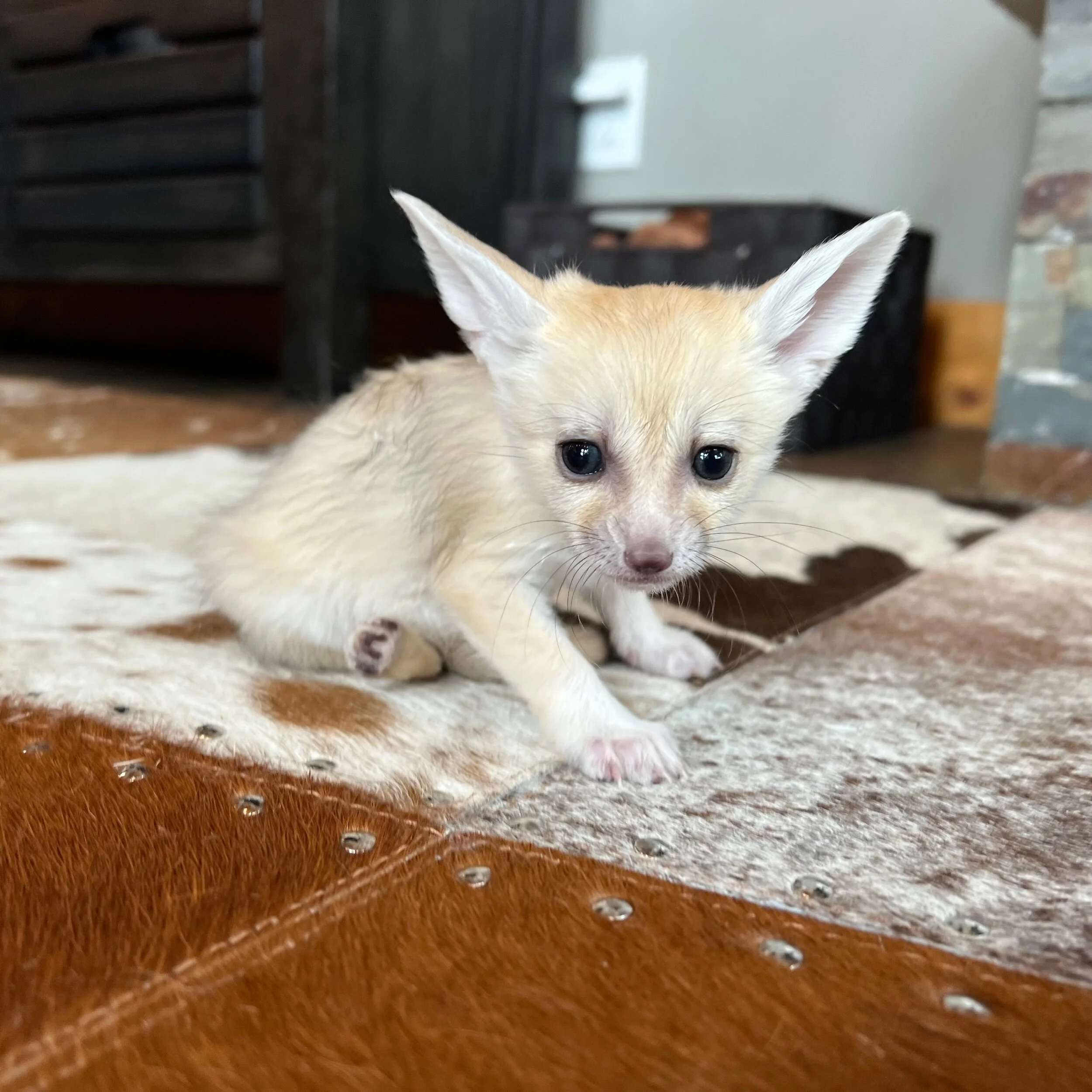 98199EB4-6920-43CC-A203-2E9257DA76B9