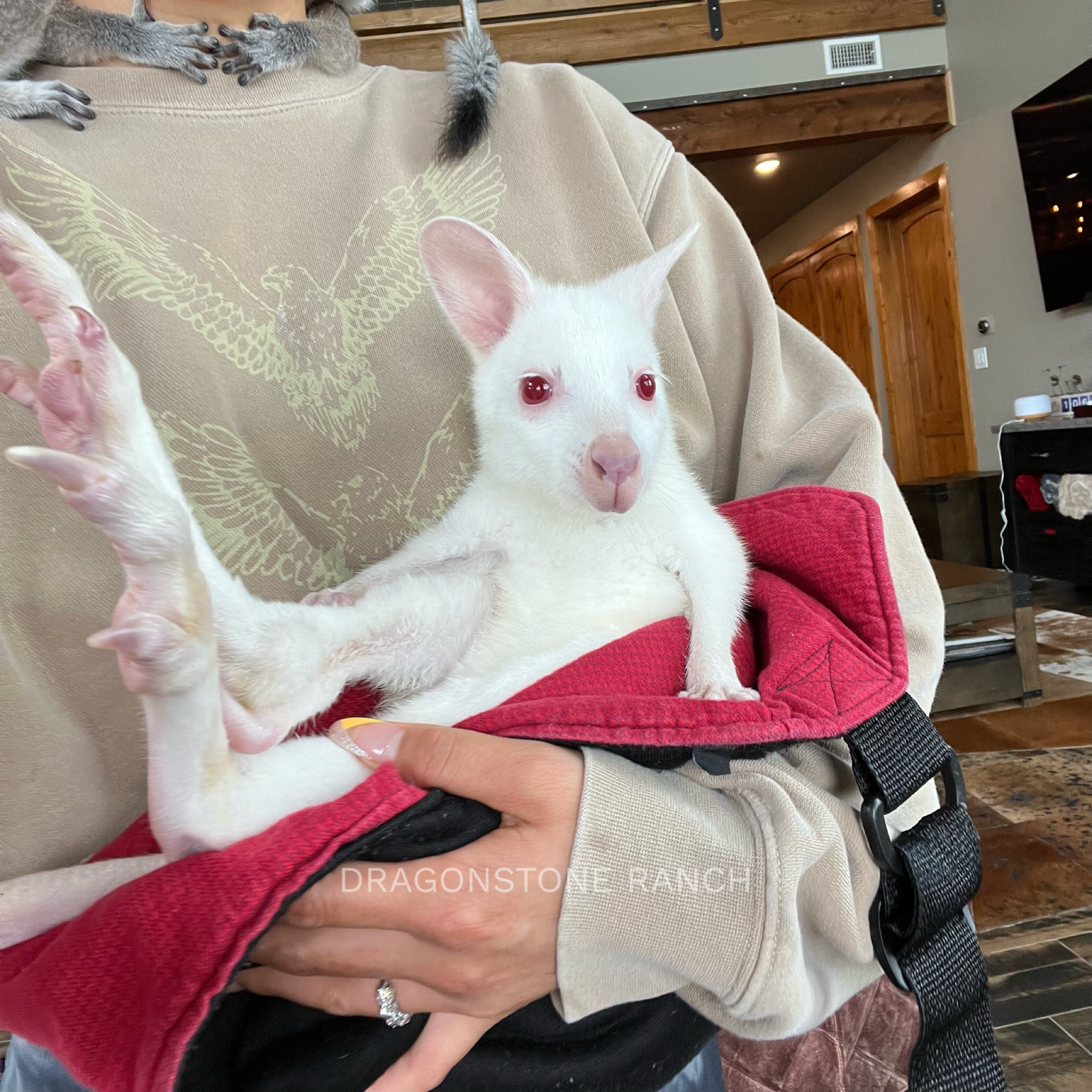 BD371CE9-5598-4273-8A6F-B0A32C7C7AF4