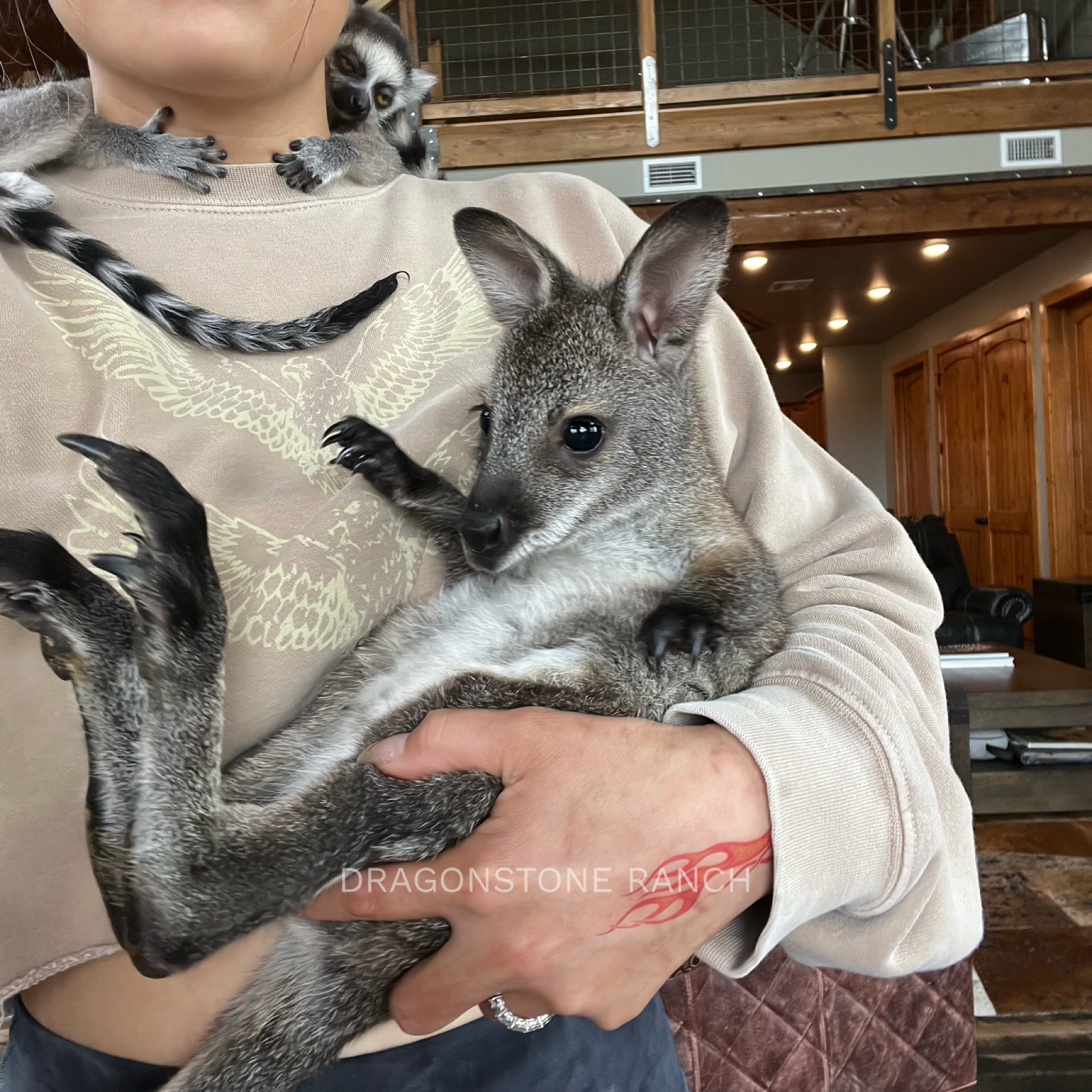 A71C3205-061F-4102-85E5-2C673645E775