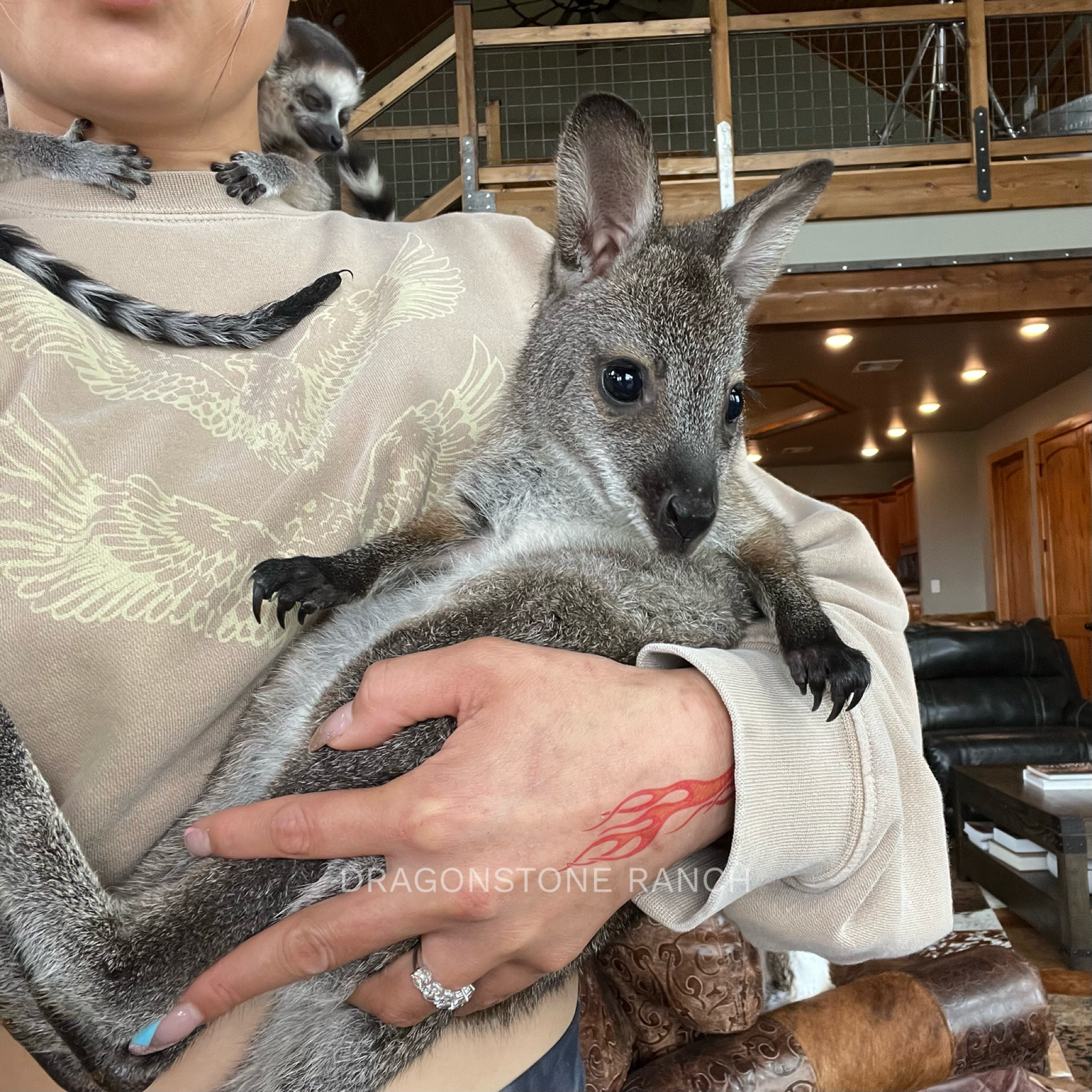 8E38B5EF-8FED-4A14-A62F-E384D08BF2CC