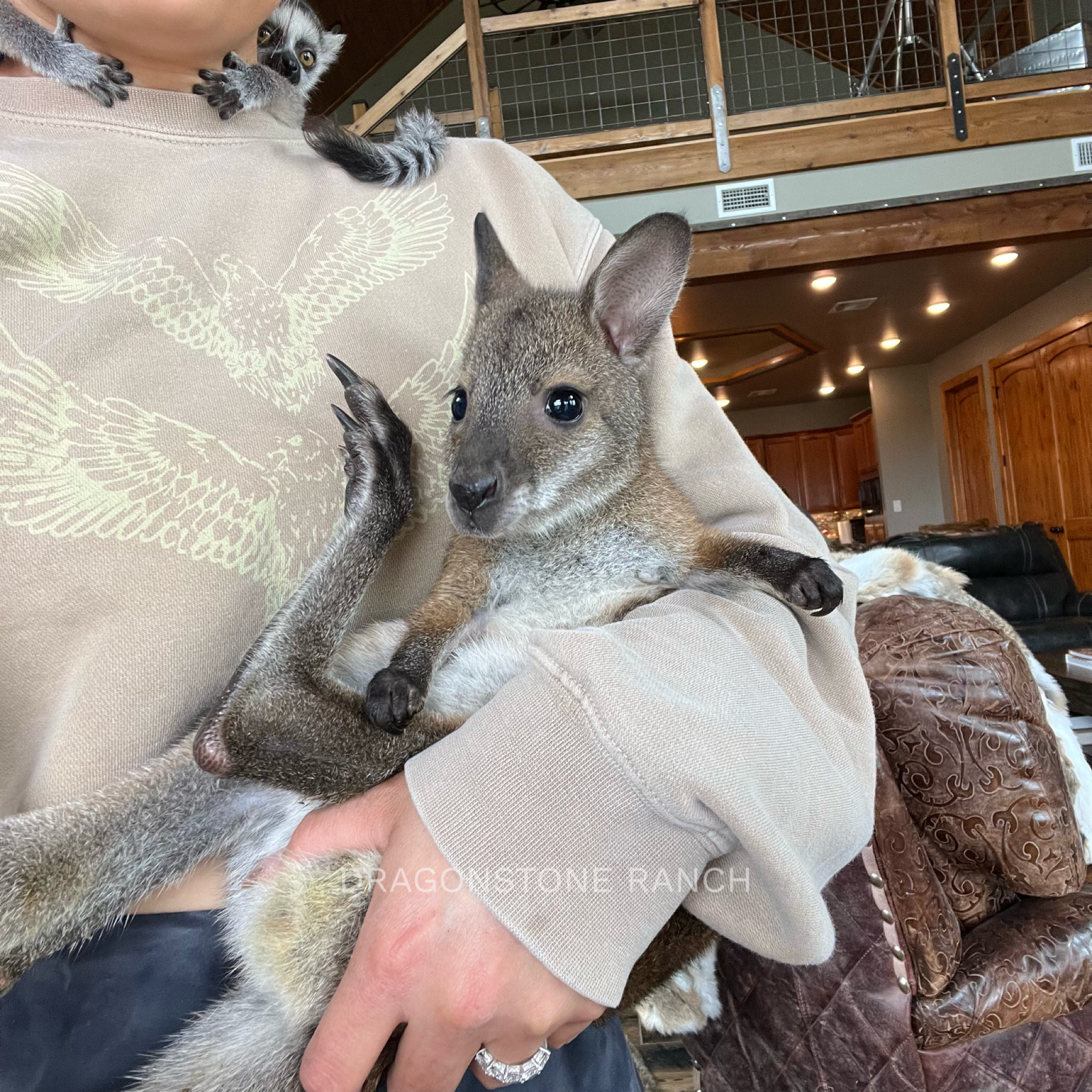 5587D47F-2D9B-4F1C-9402-FB98DBA6B6F4