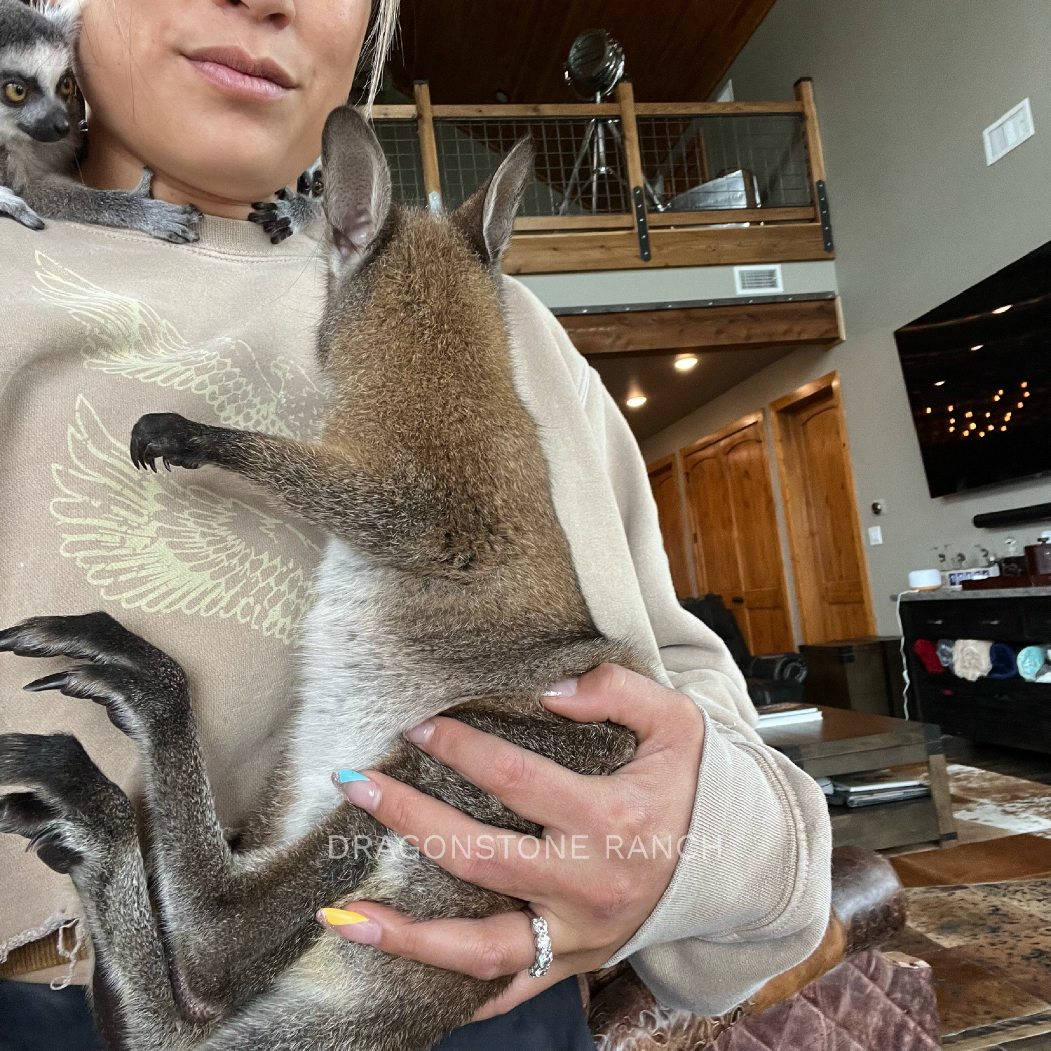 579C6CE2-3D5F-4957-A5EB-C732604454D0